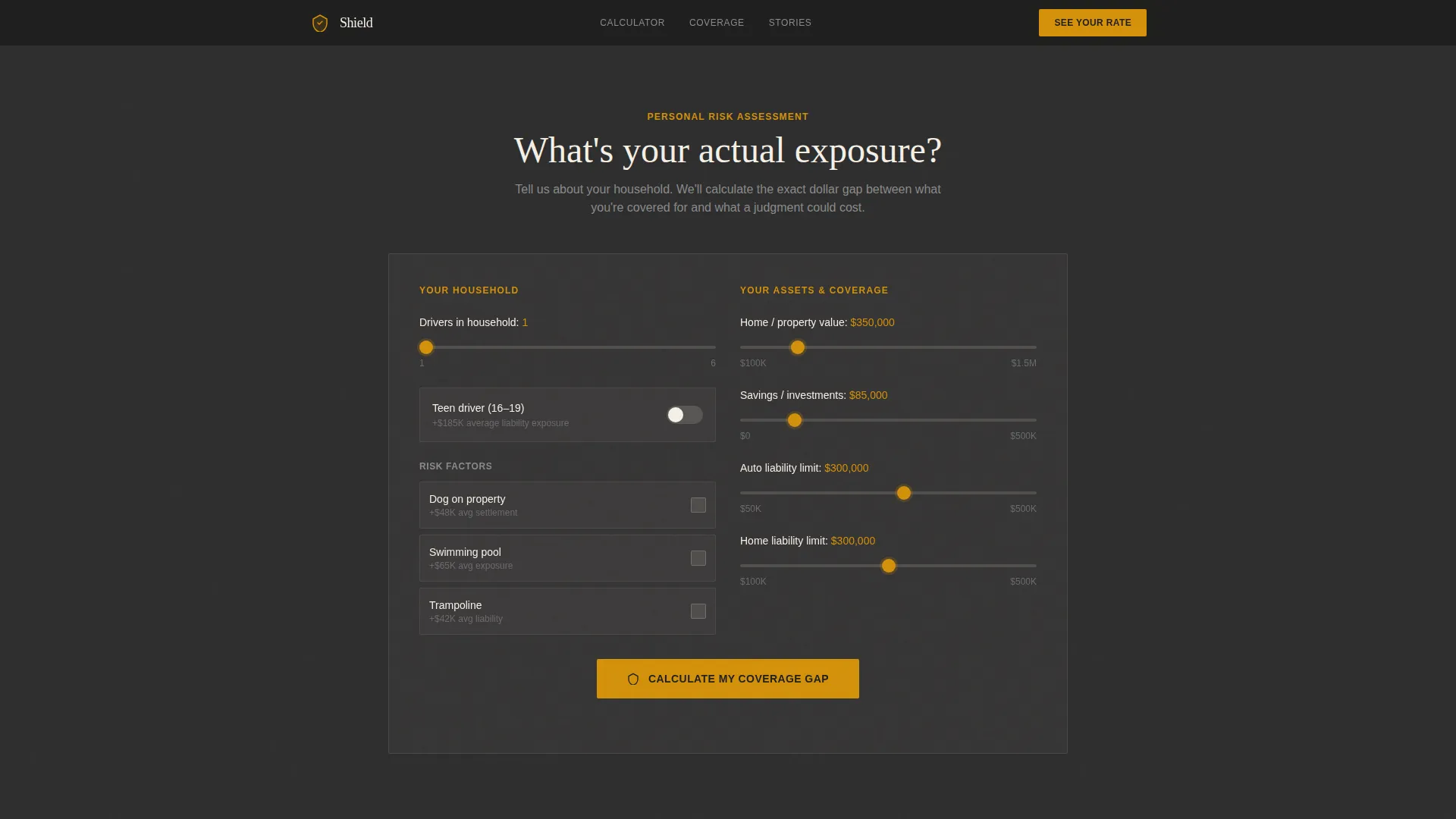 Single Parent Umbrella Insurance Landing Page Template