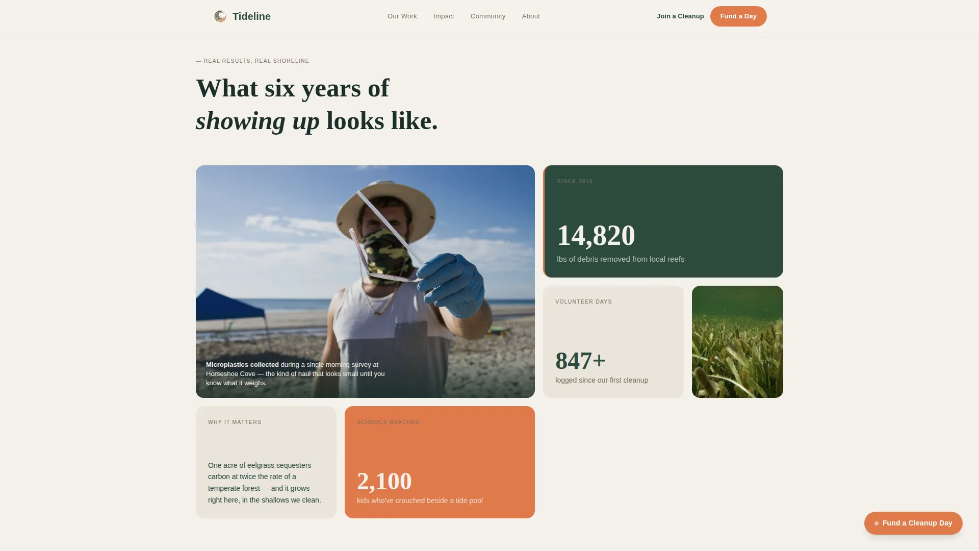 Ocean Conservation Fundraising Landing Page Template