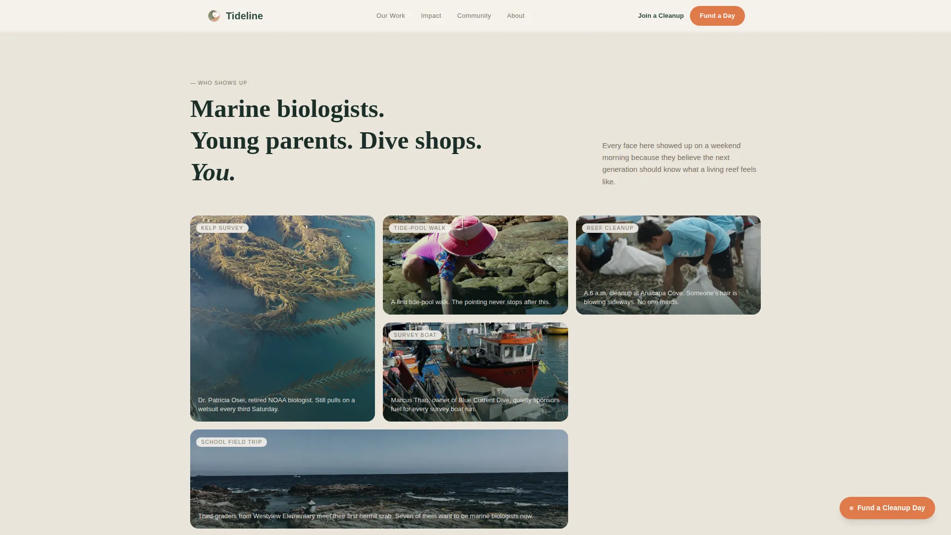 Ocean Conservation Fundraising Landing Page Template