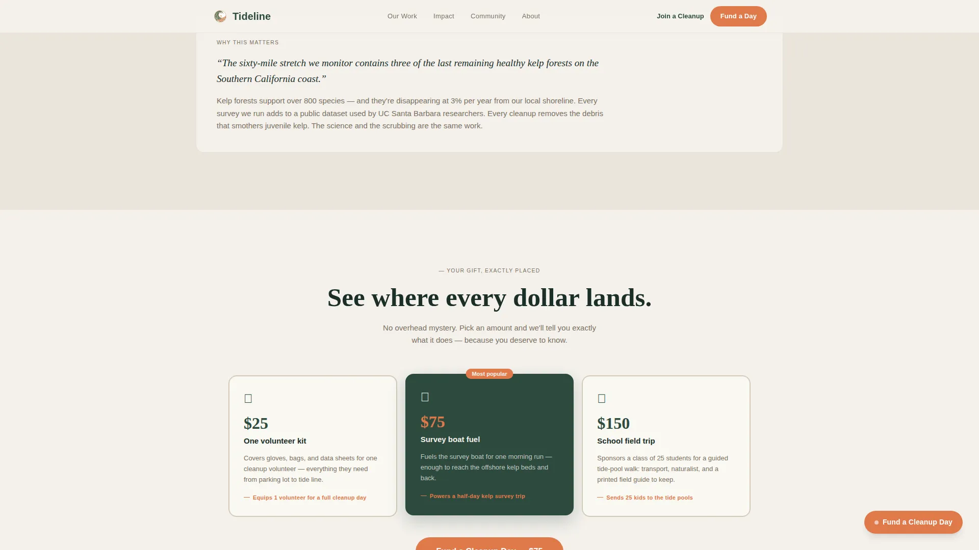 Ocean Conservation Fundraising Landing Page Template