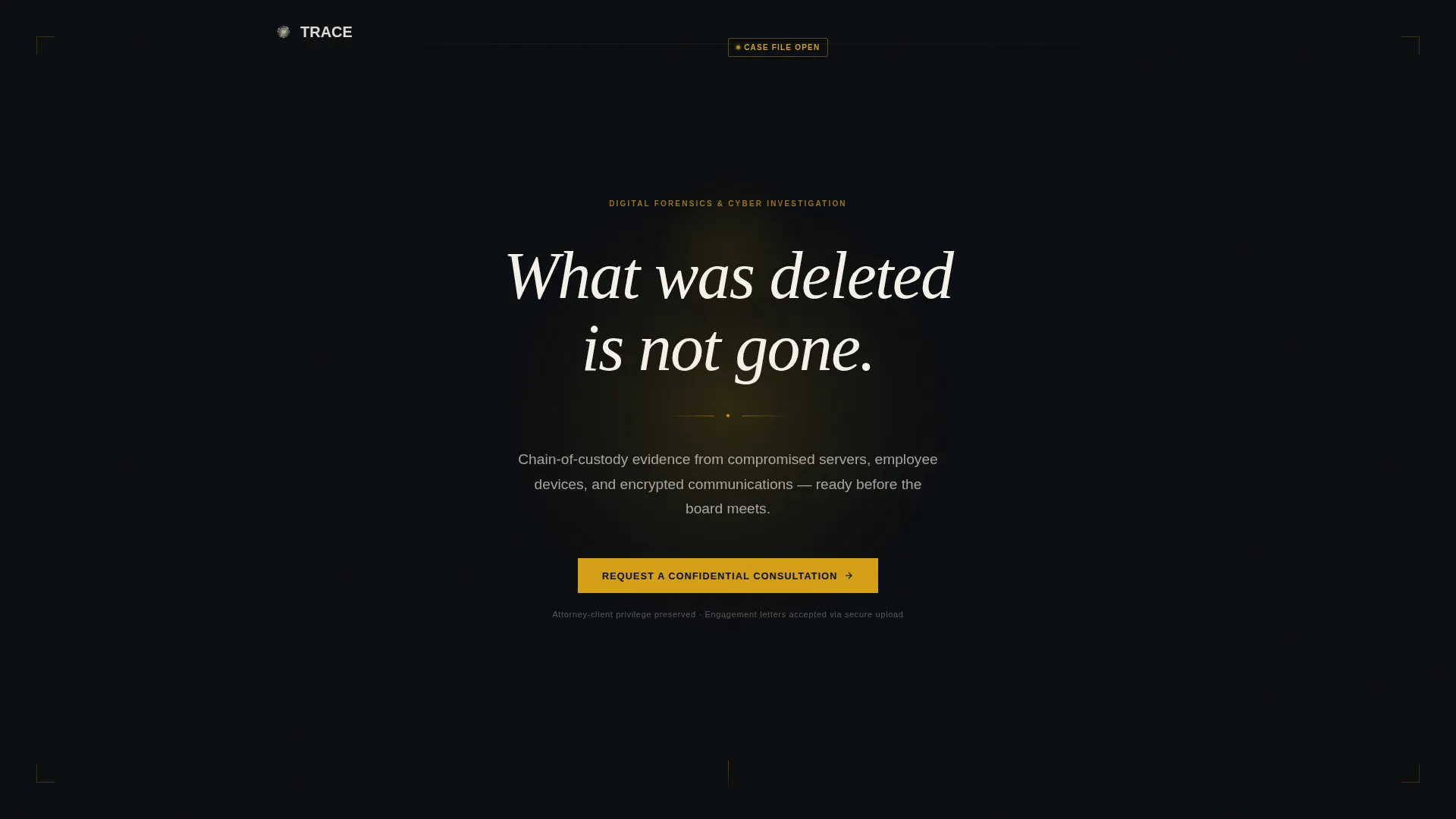 Private Investigation Professional Website Template
