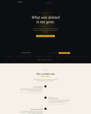 Private Investigation Professional Website Template