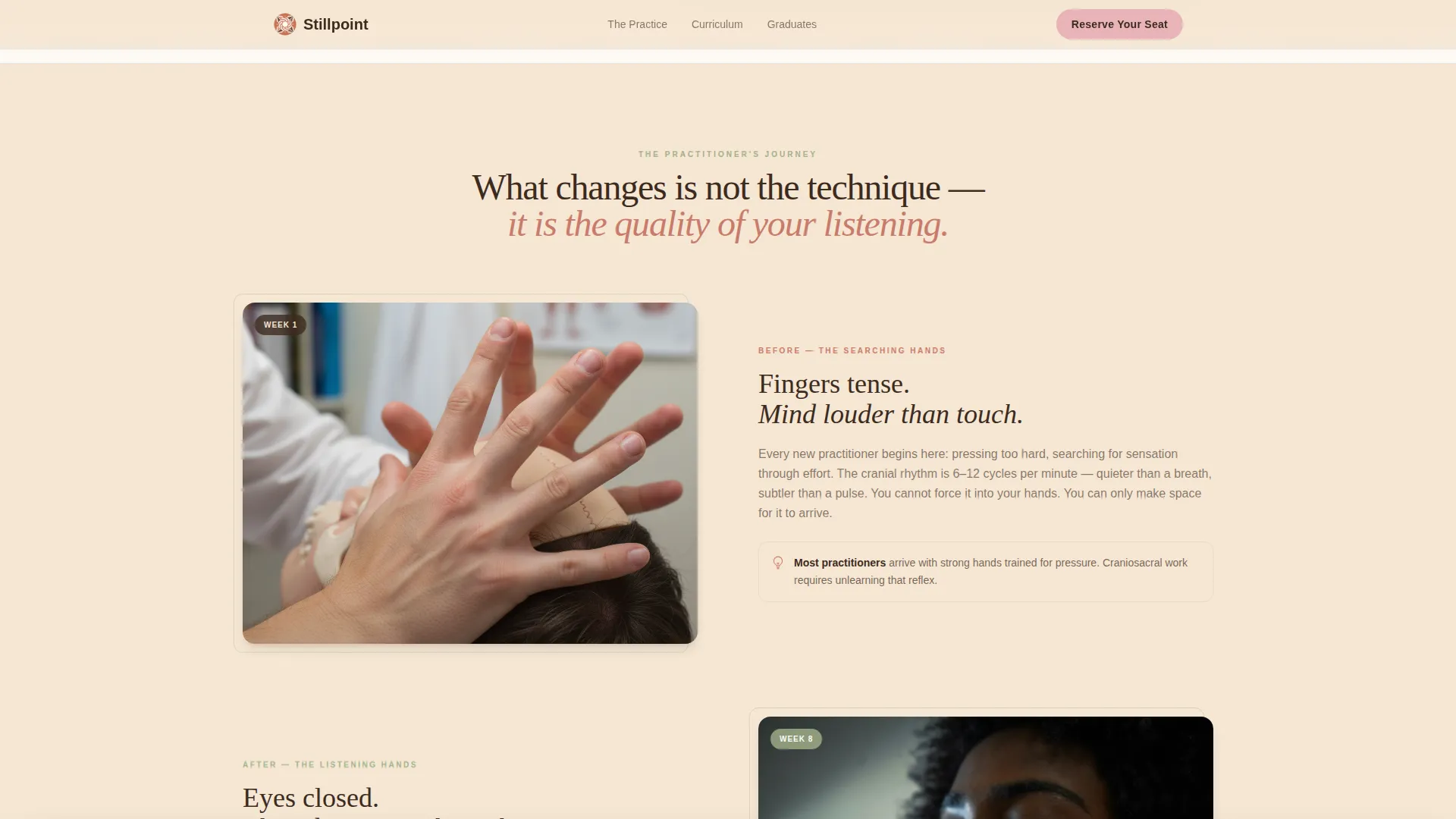 Wellness Modalities Booking Website Template