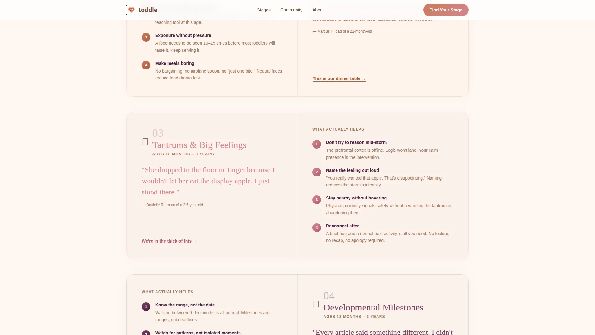 Toddler (1-3) Products & Reviews Website Template