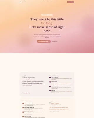 Toddler (1-3) Products & Reviews Website Template
