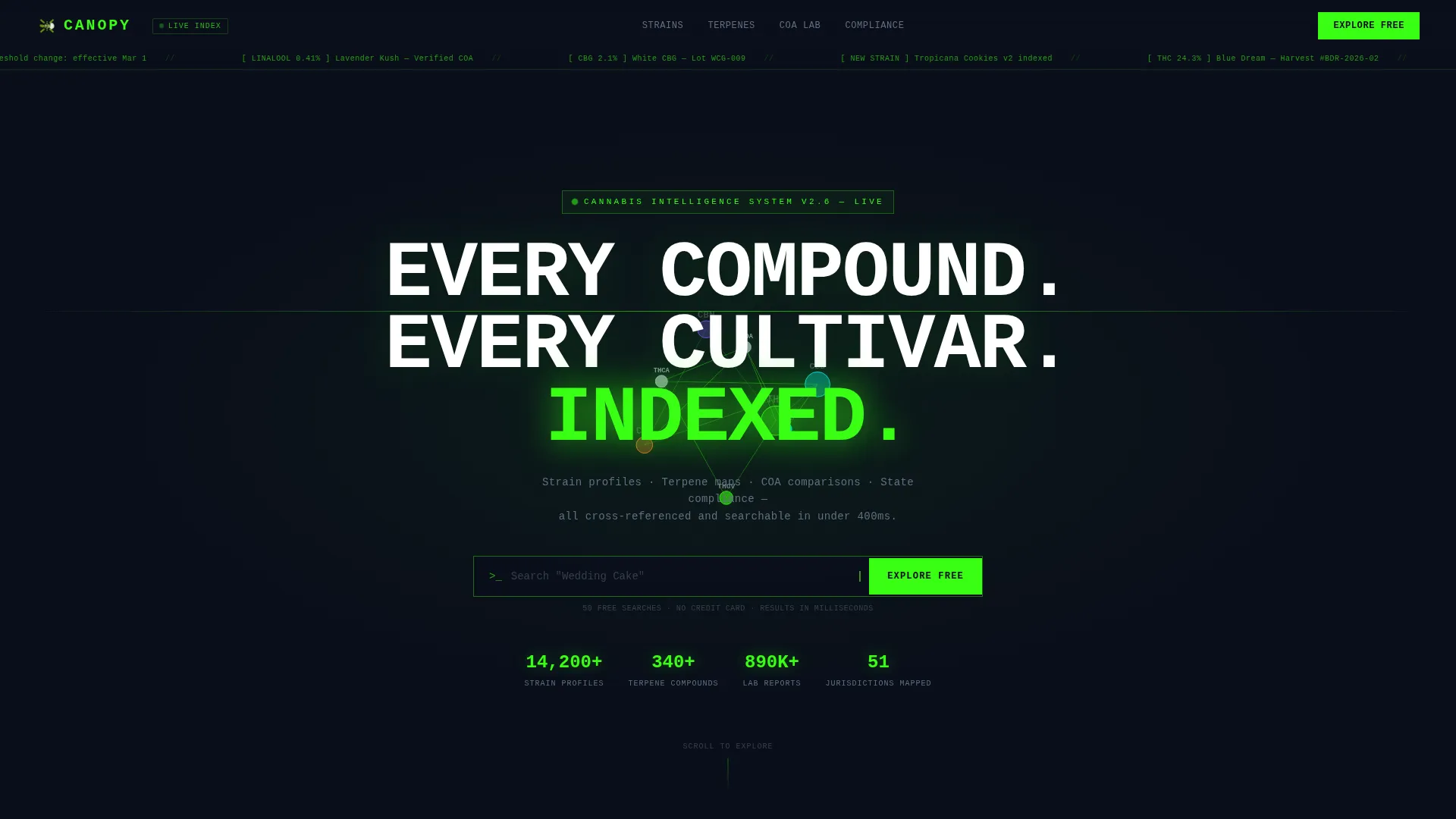 Cannabis Digital Presence Professional Website Template