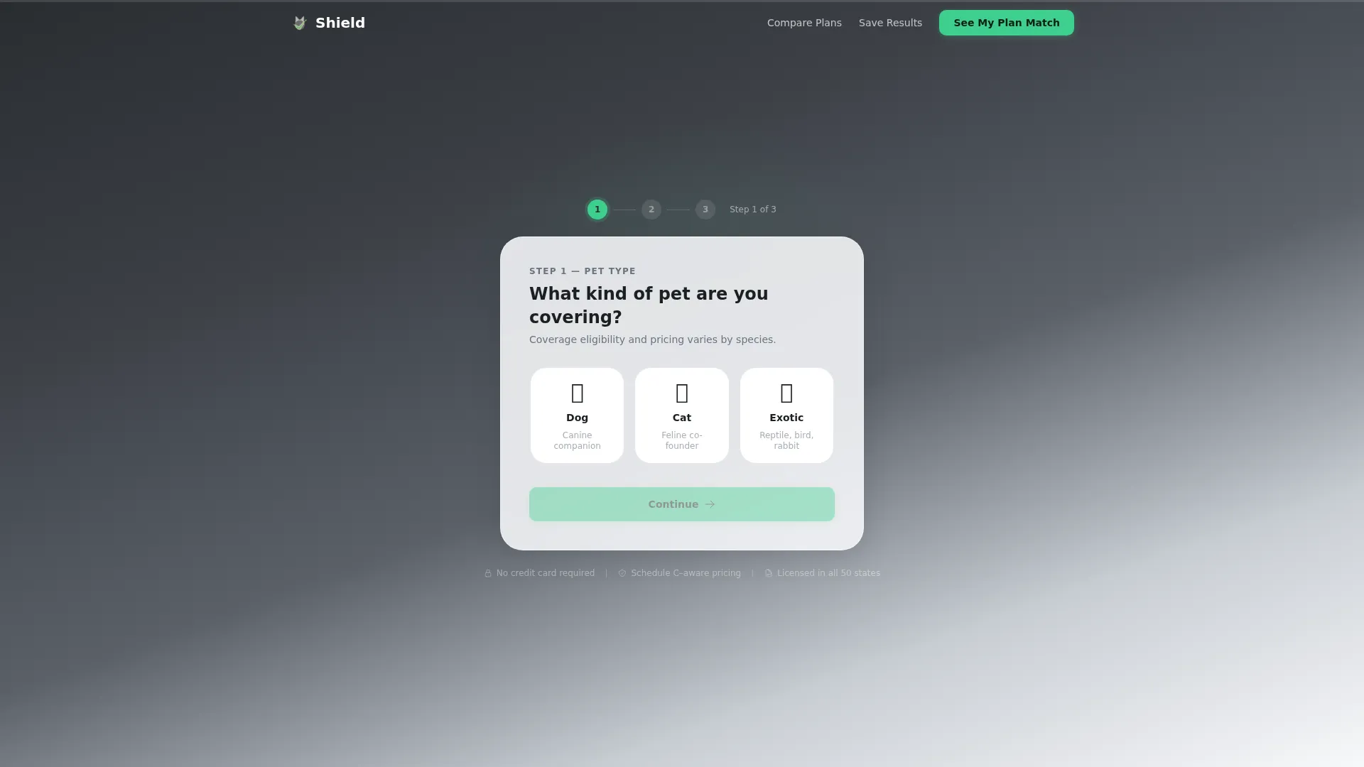 Small Business Owner Insurance Professional Website Template