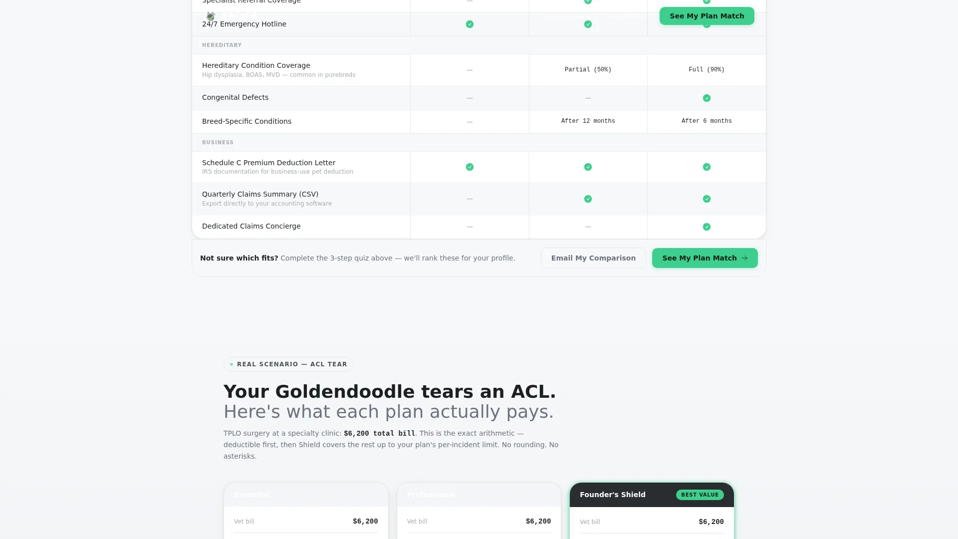 Small Business Owner Insurance Professional Website Template