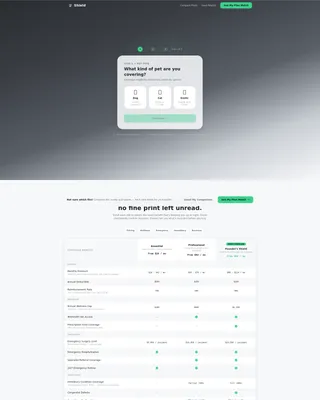 Small Business Owner Insurance Professional Website Template