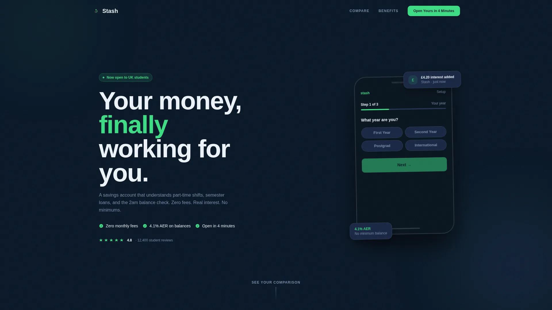 Student Finance Professional Website Template