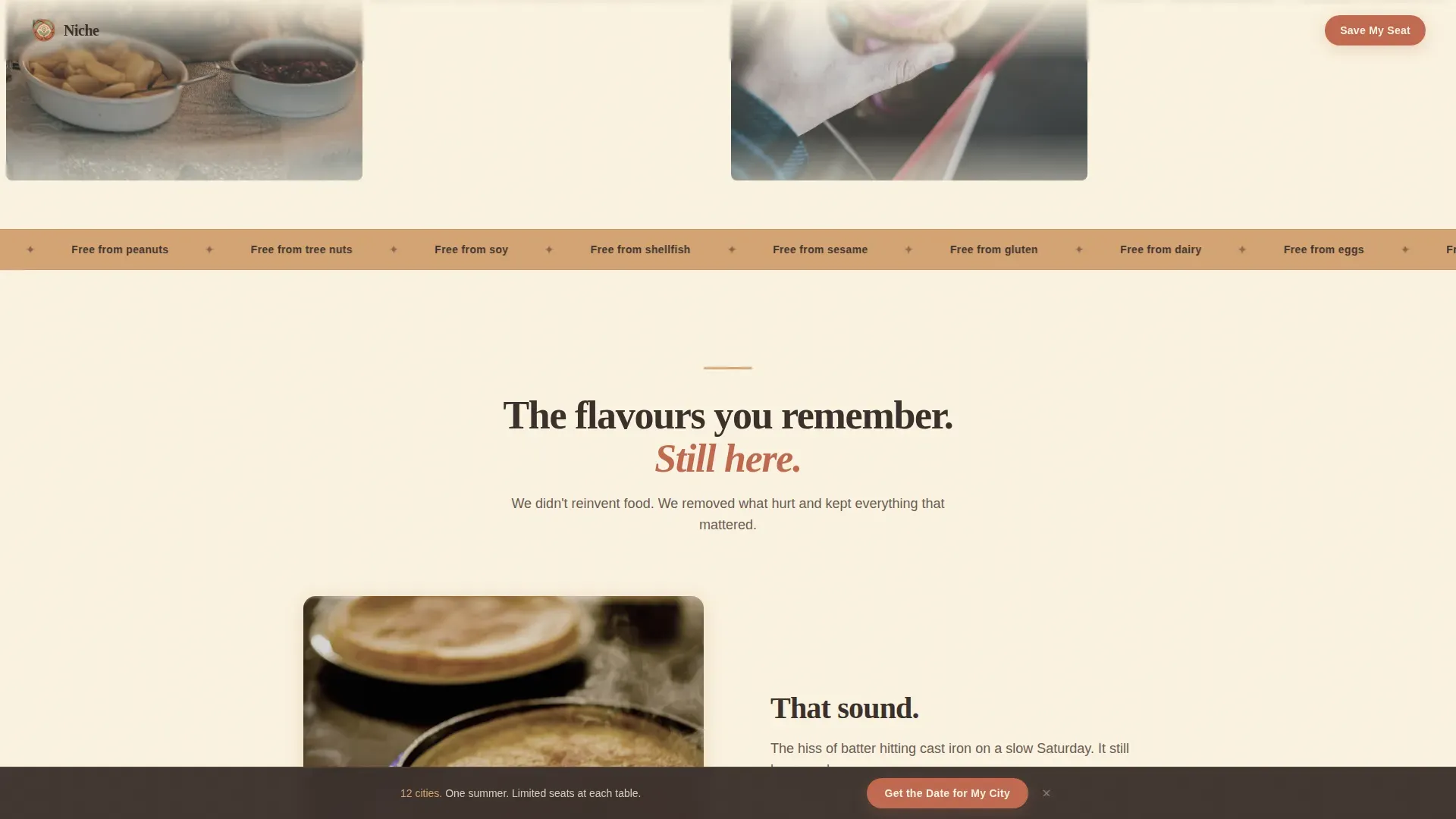 Safe Bites | Free Website Template | Rocket