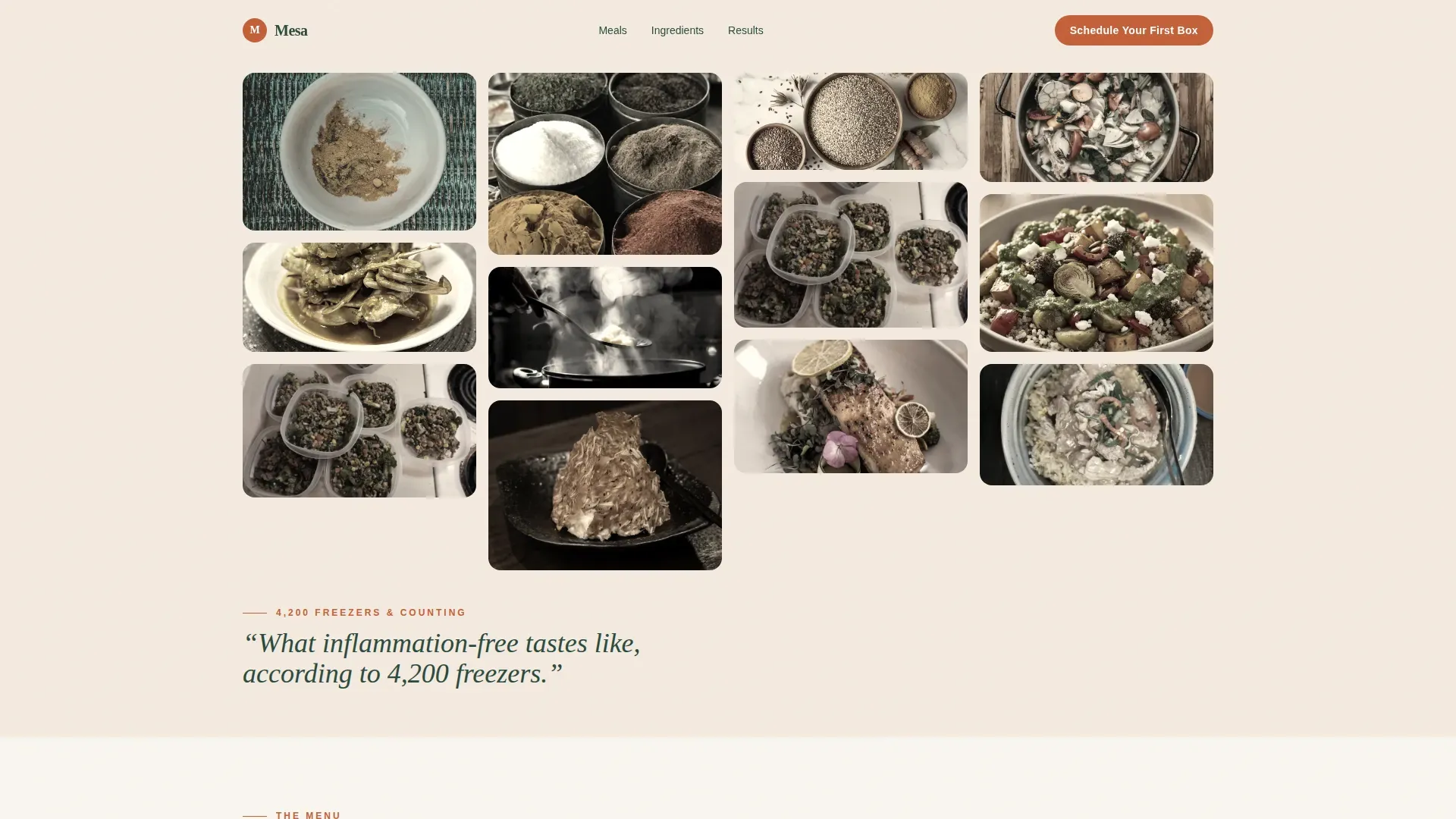 Meal Delivery Subscriptions | Free Website Template | Rocket