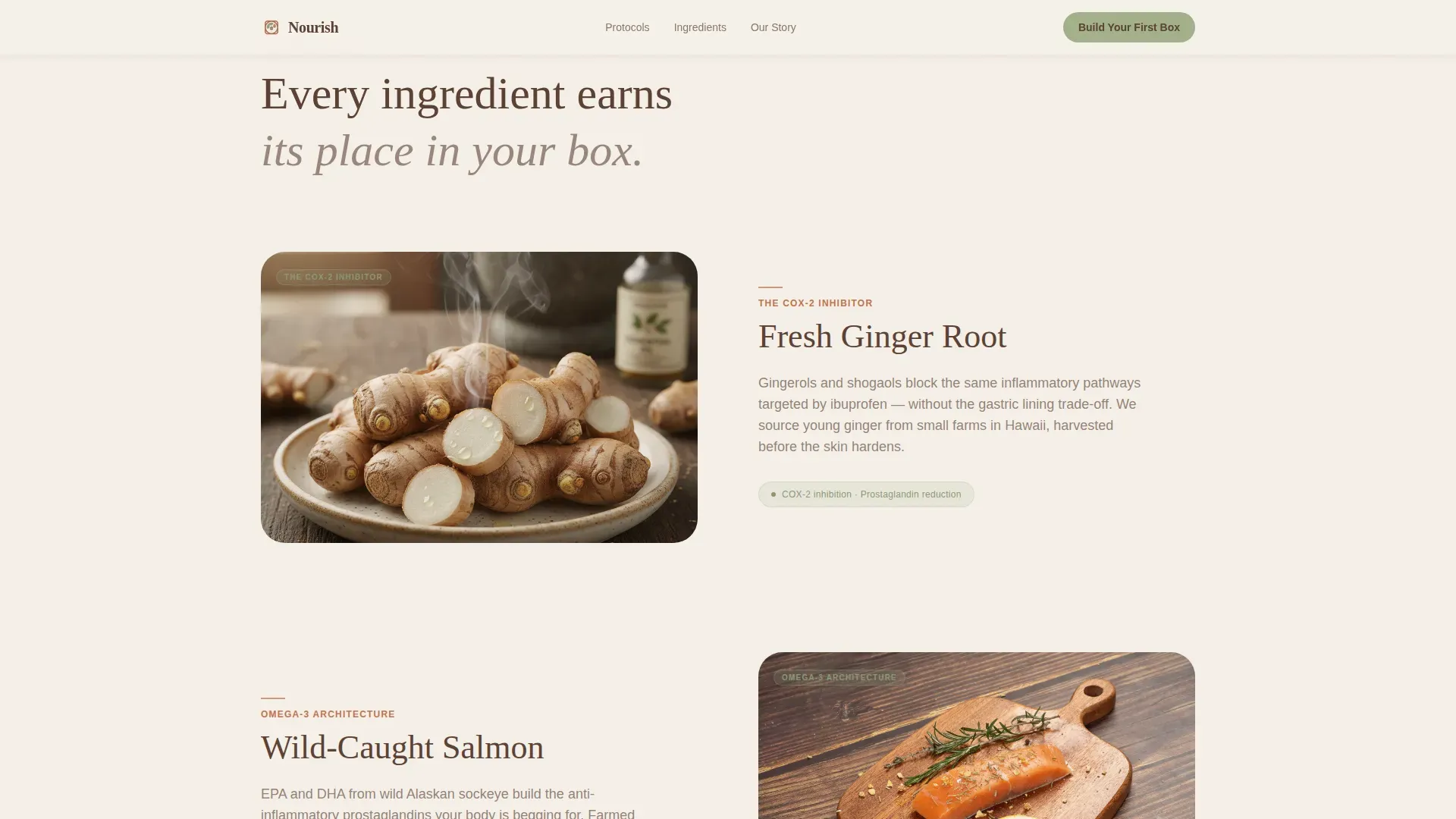Wholefood Grocery Delivery | Free Website Template | Rocket