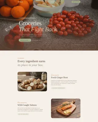 Wholefood Grocery Delivery | Free Website Template | Rocket