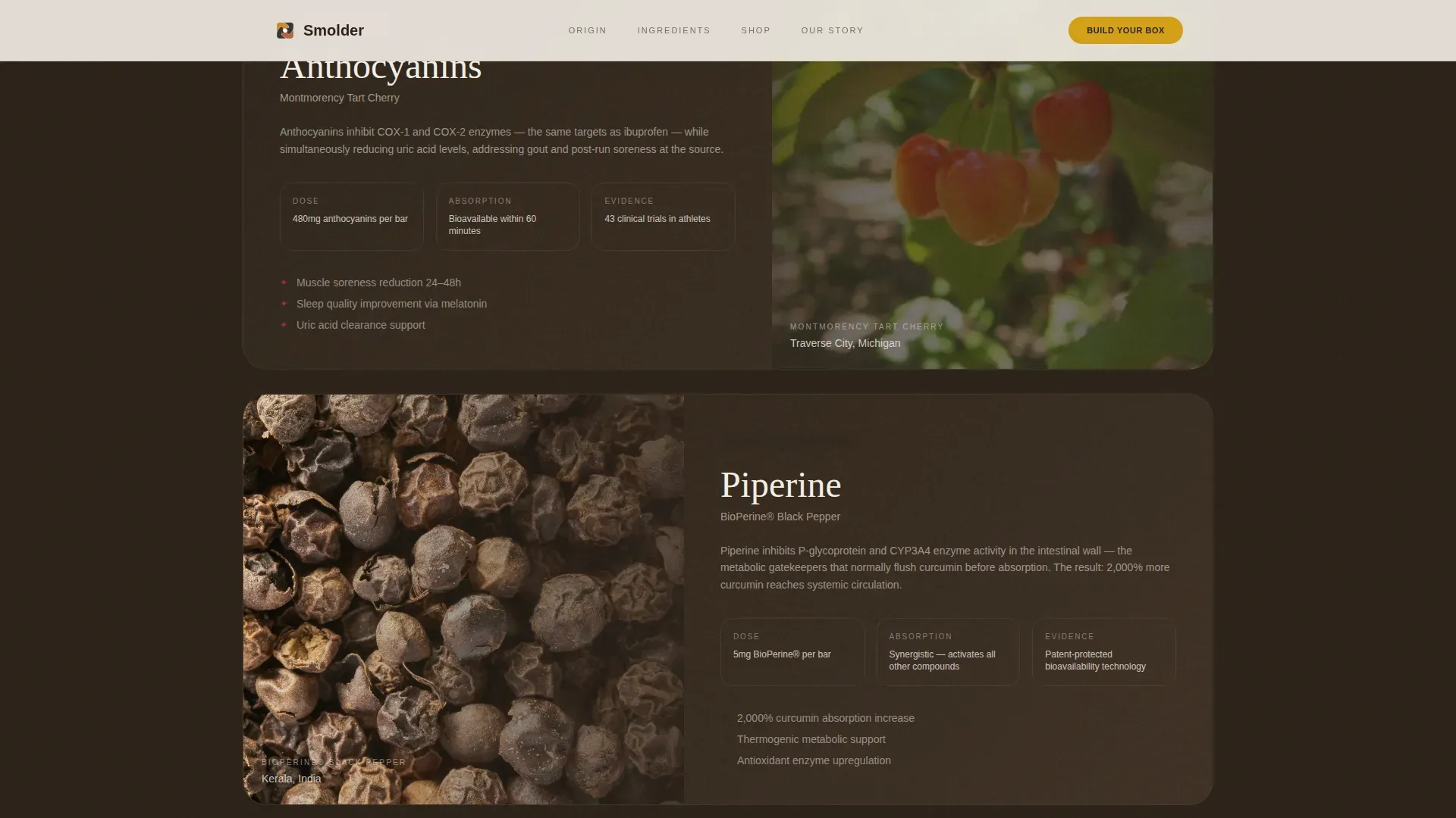 Luxe Anti-Inflammatory Snack Brand | Free Website Template | Rocket