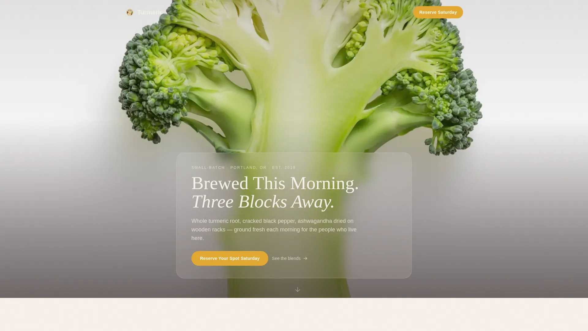 Supplement Marketplace | Free Website Template | Rocket