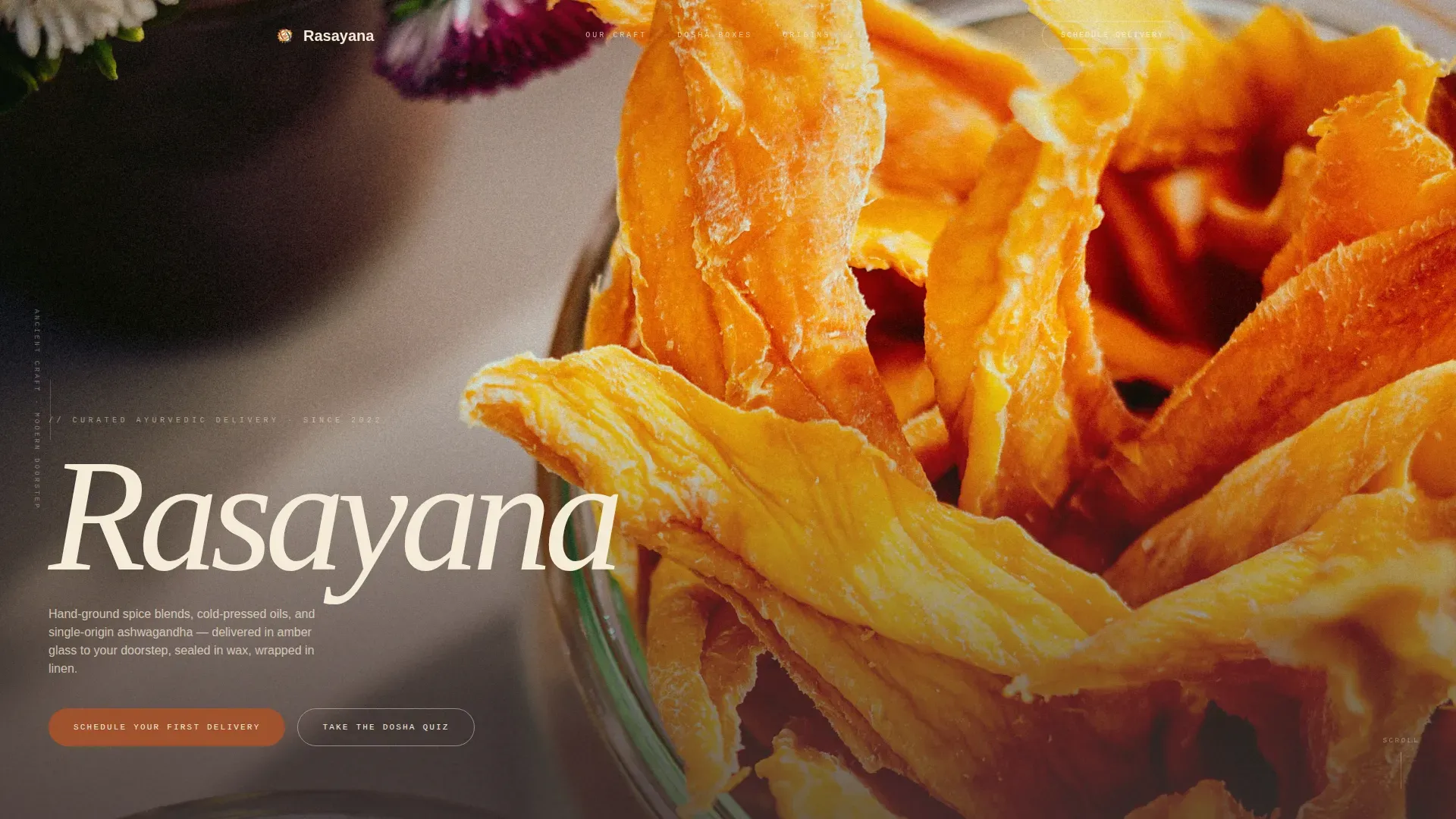 Ayurvedic Delivery Service | Free Website Template | Rocket