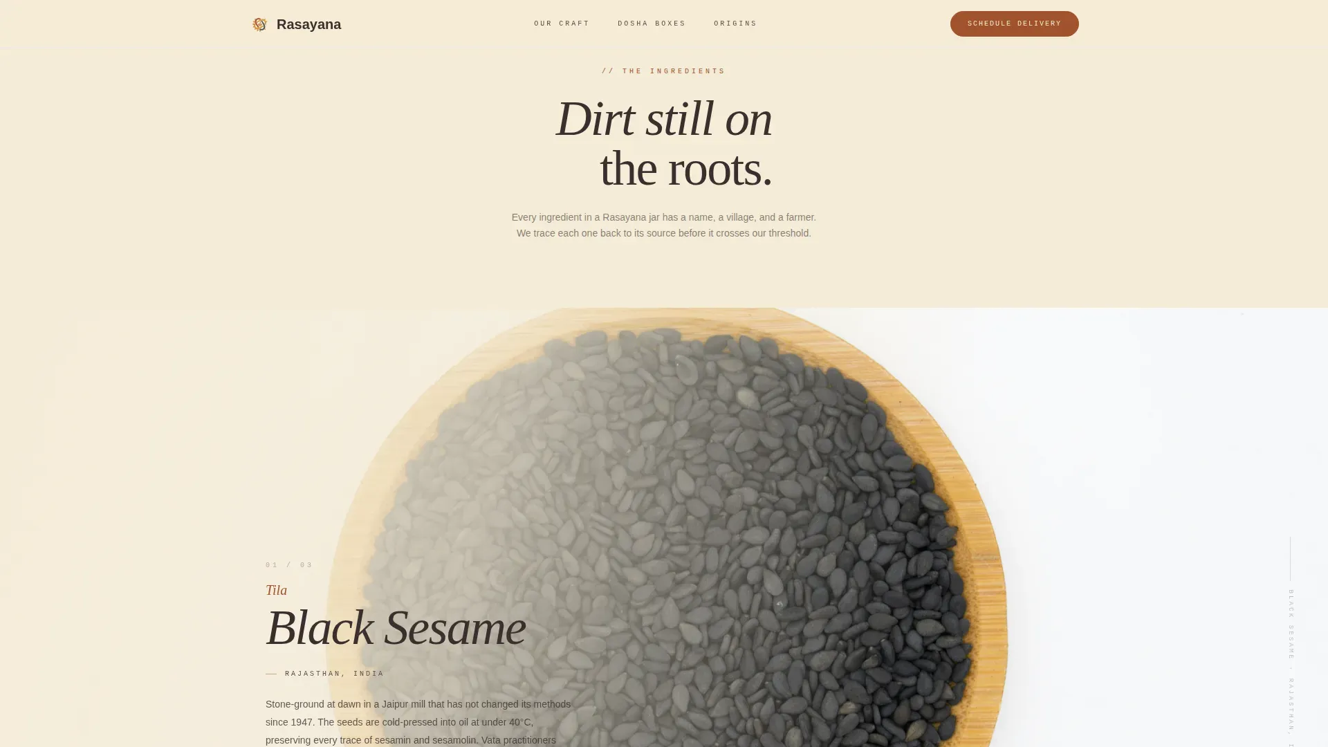 Ayurvedic Delivery Service | Free Website Template | Rocket