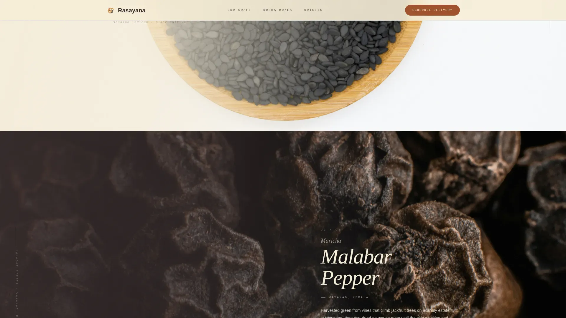 Ayurvedic Delivery Service | Free Website Template | Rocket
