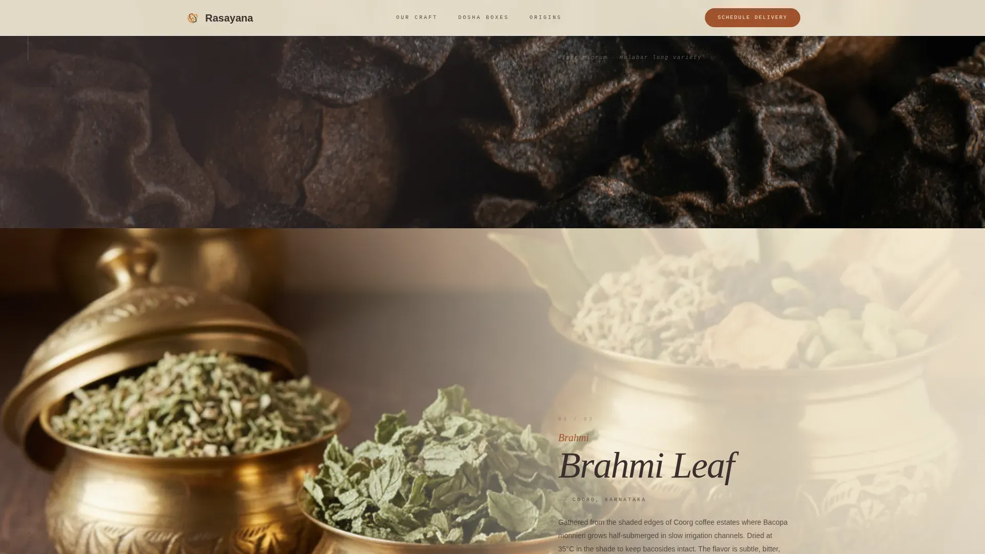 Ayurvedic Delivery Service | Free Website Template | Rocket