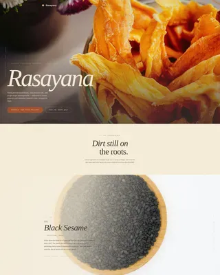 Ayurvedic Delivery Service | Free Website Template | Rocket