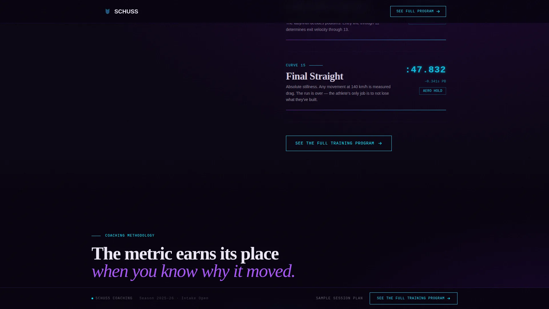 Luge Professional Website Template