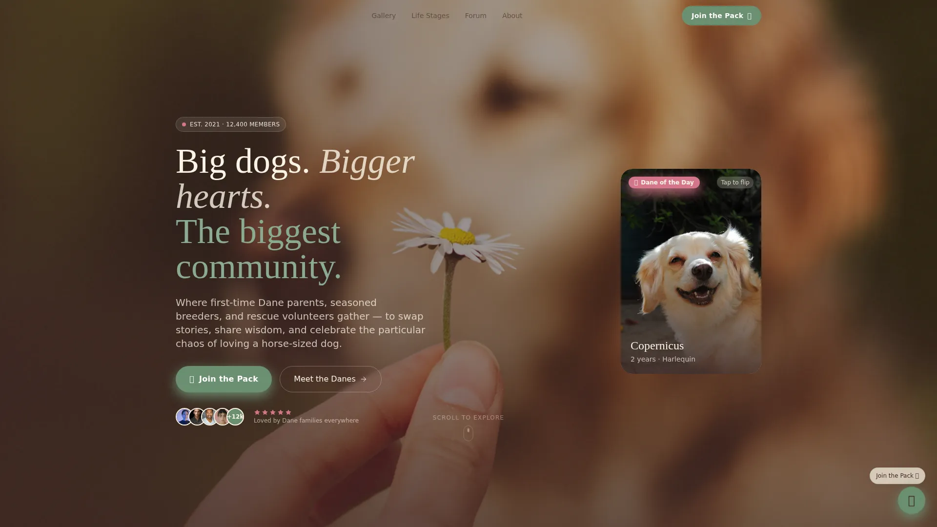 Great Dane Professional Website Template