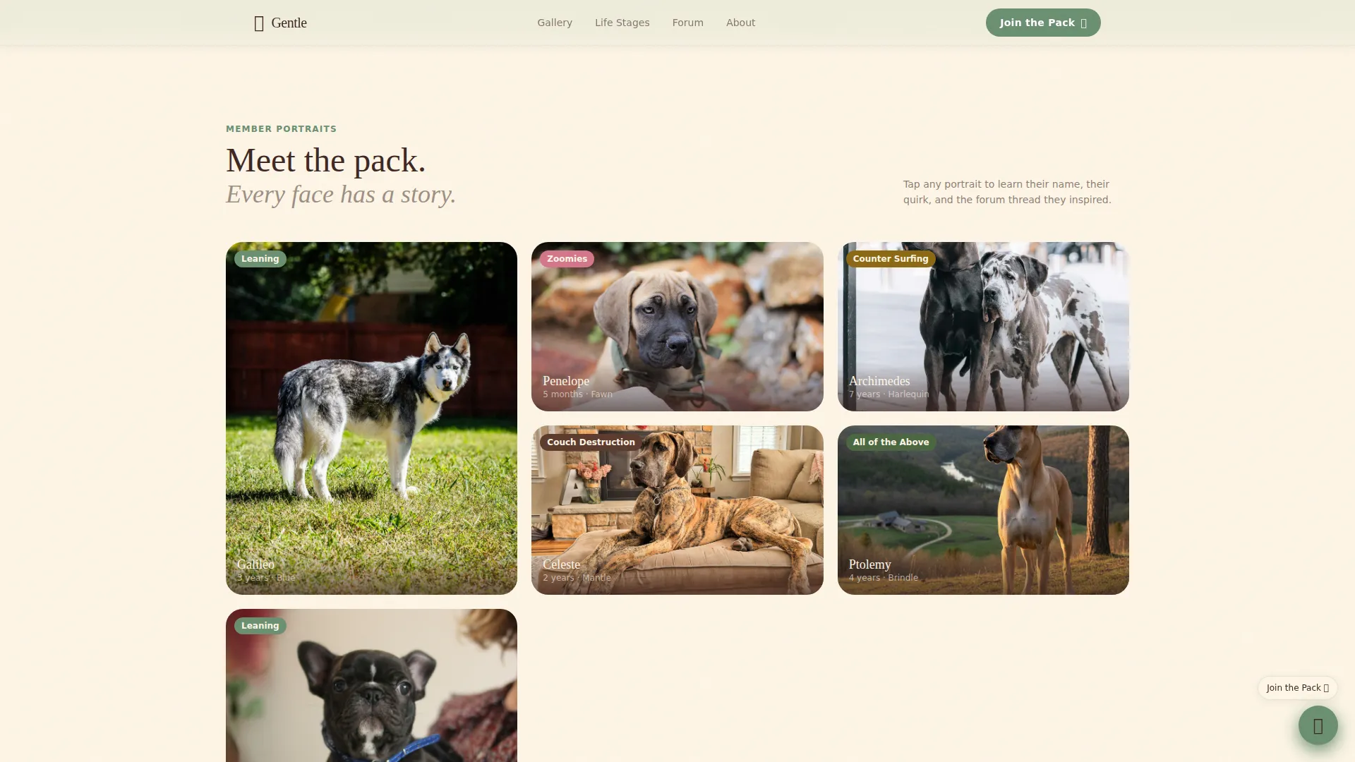 Great Dane Professional Website Template