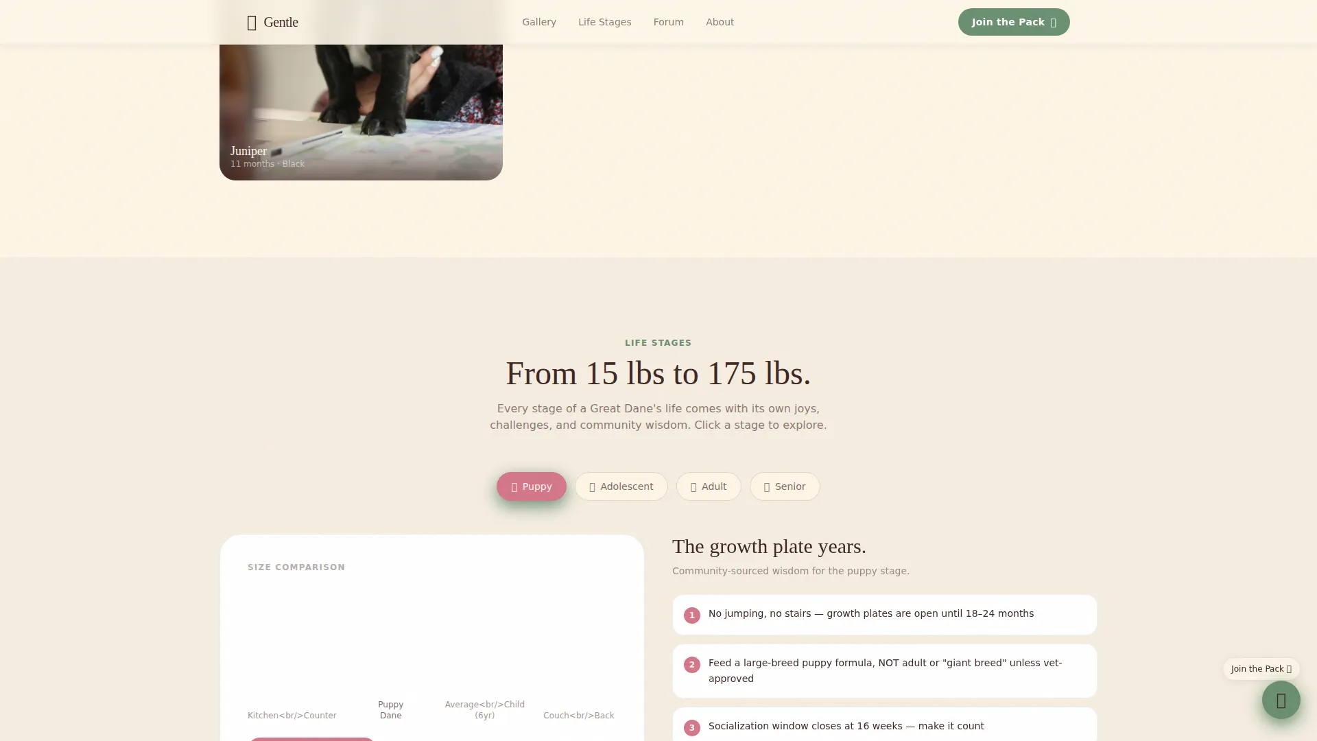 Great Dane Professional Website Template