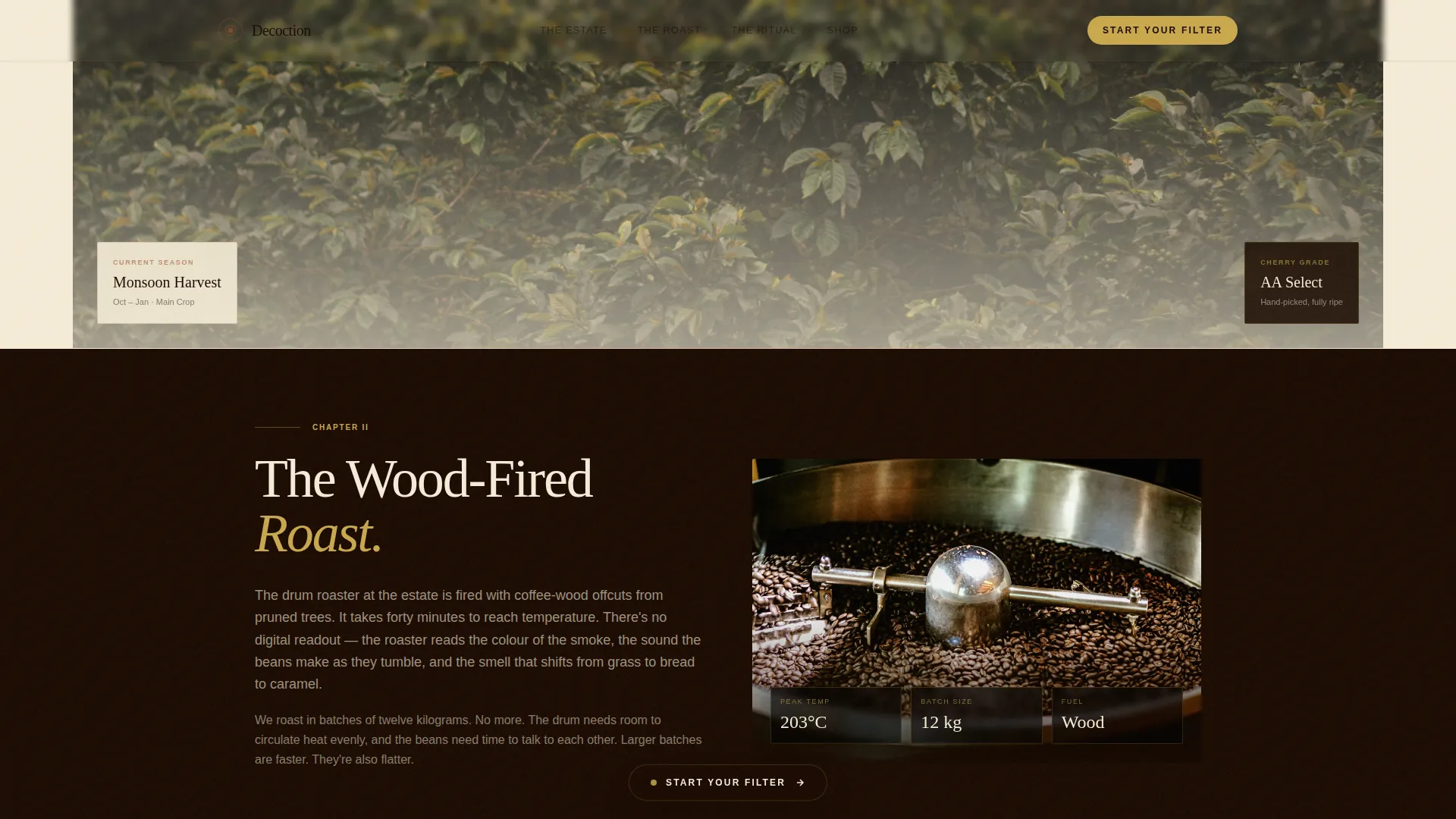 South Indian Filter Coffee Roastery Origin Story Website Template