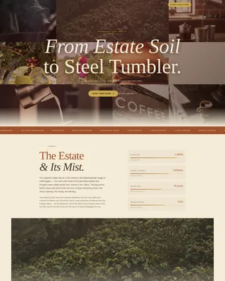South Indian Filter Coffee Roastery Origin Story Website Template