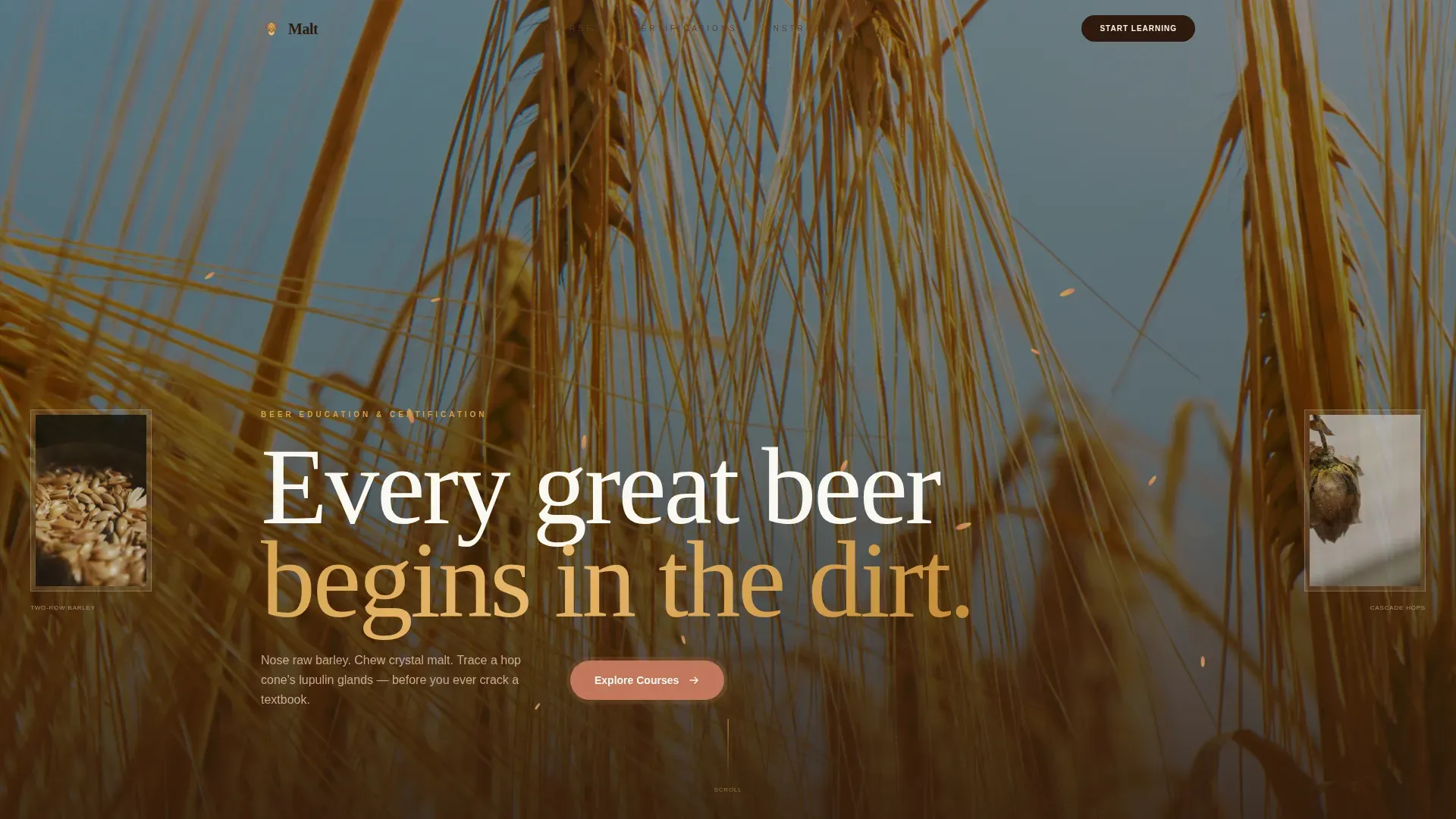 Expert Beer Education Landing Page Template