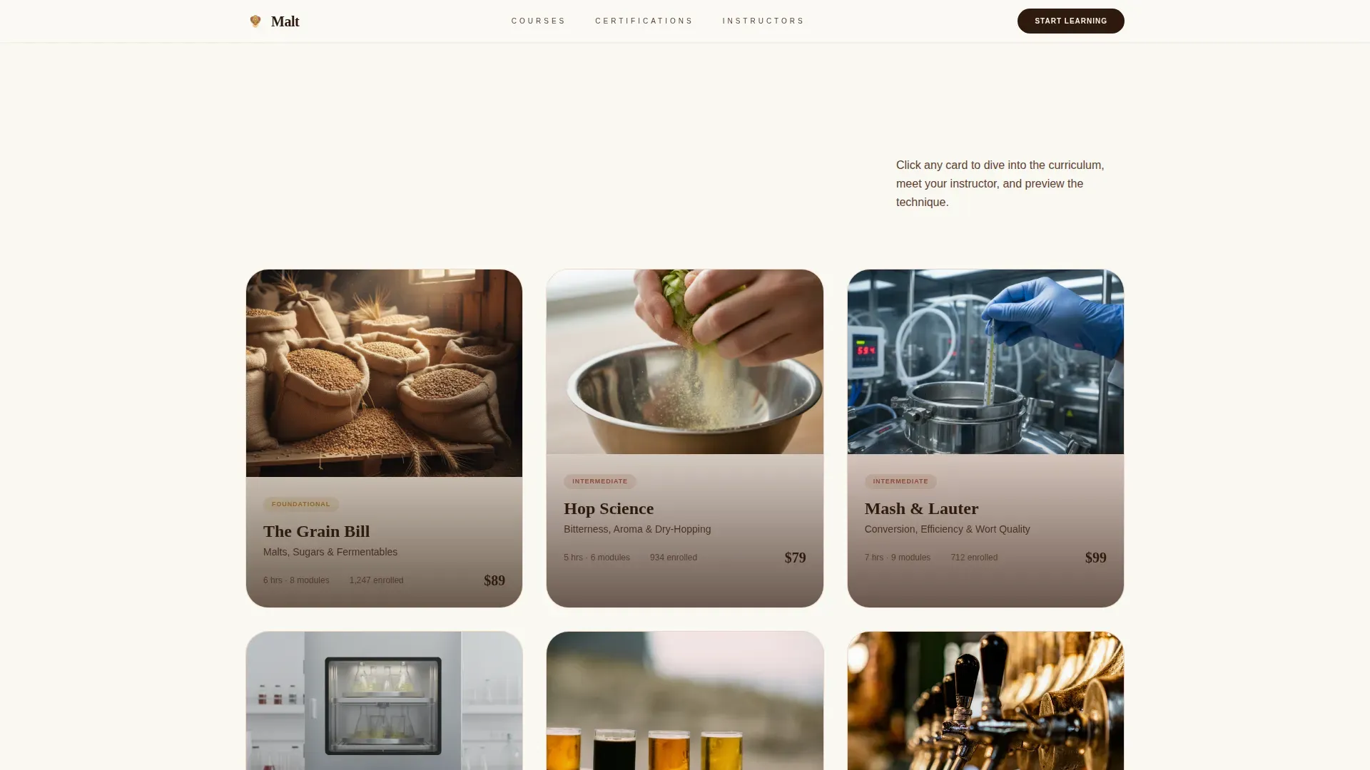 Expert Beer Education Landing Page Template