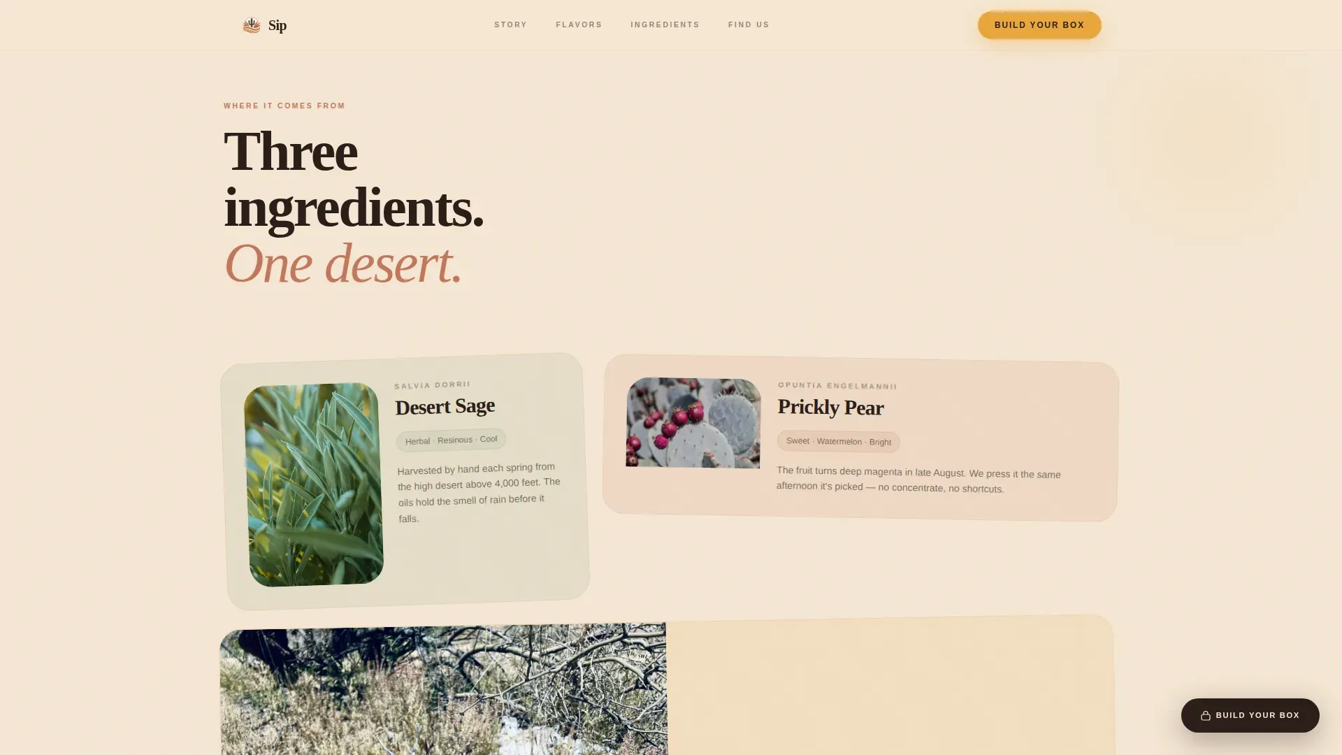 Craft Wellness Tonic Landing Page Template
