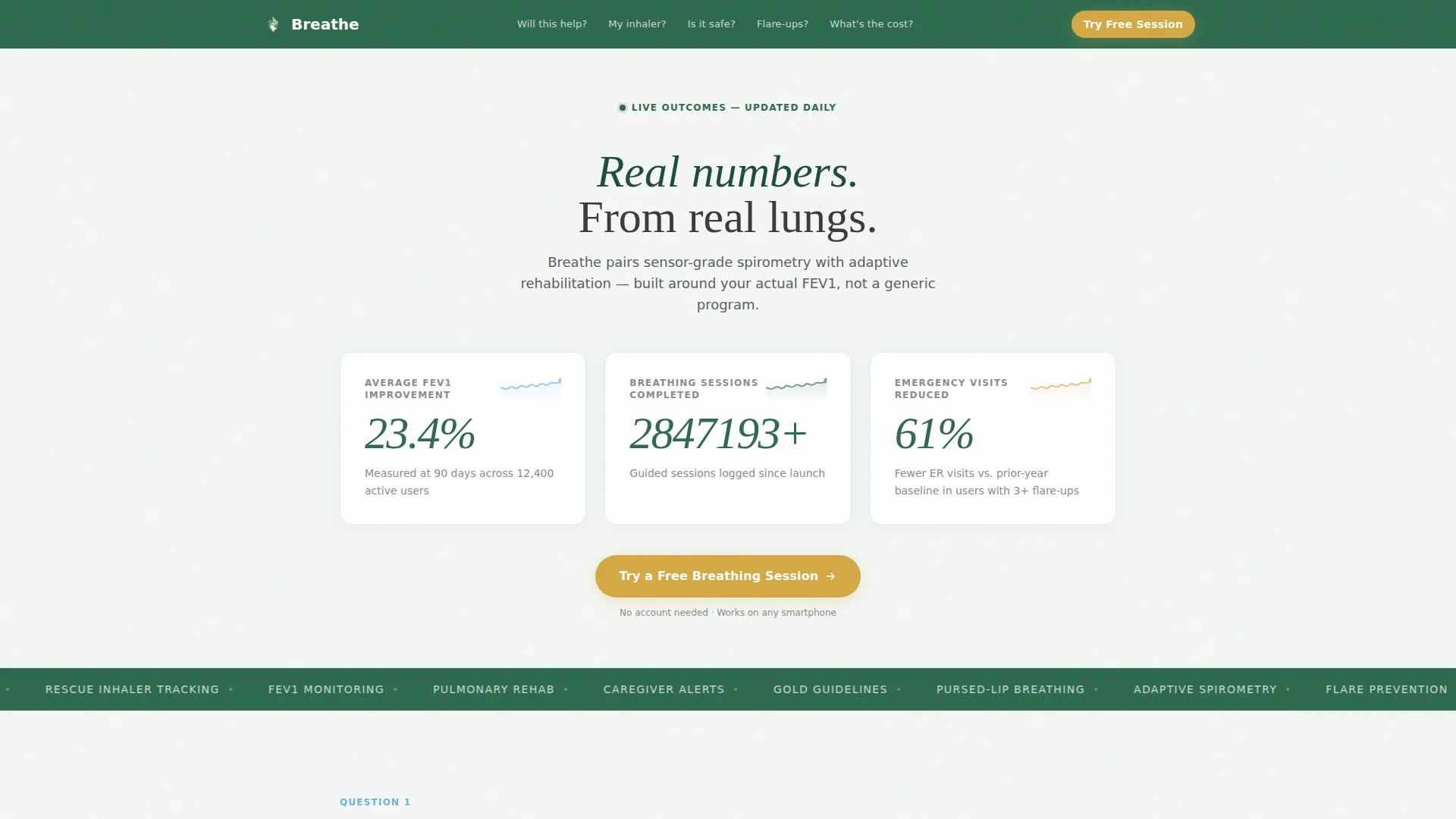 COPD Care FAQ Website Template