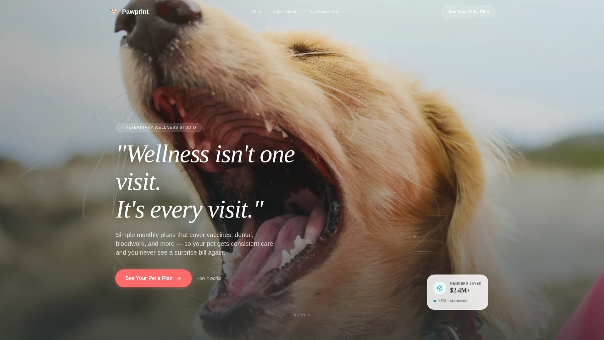 Pet Wellness Plan Landing Page Template