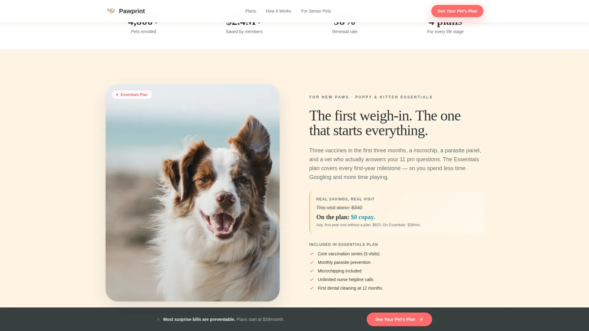 Pet Wellness Plan Landing Page Template