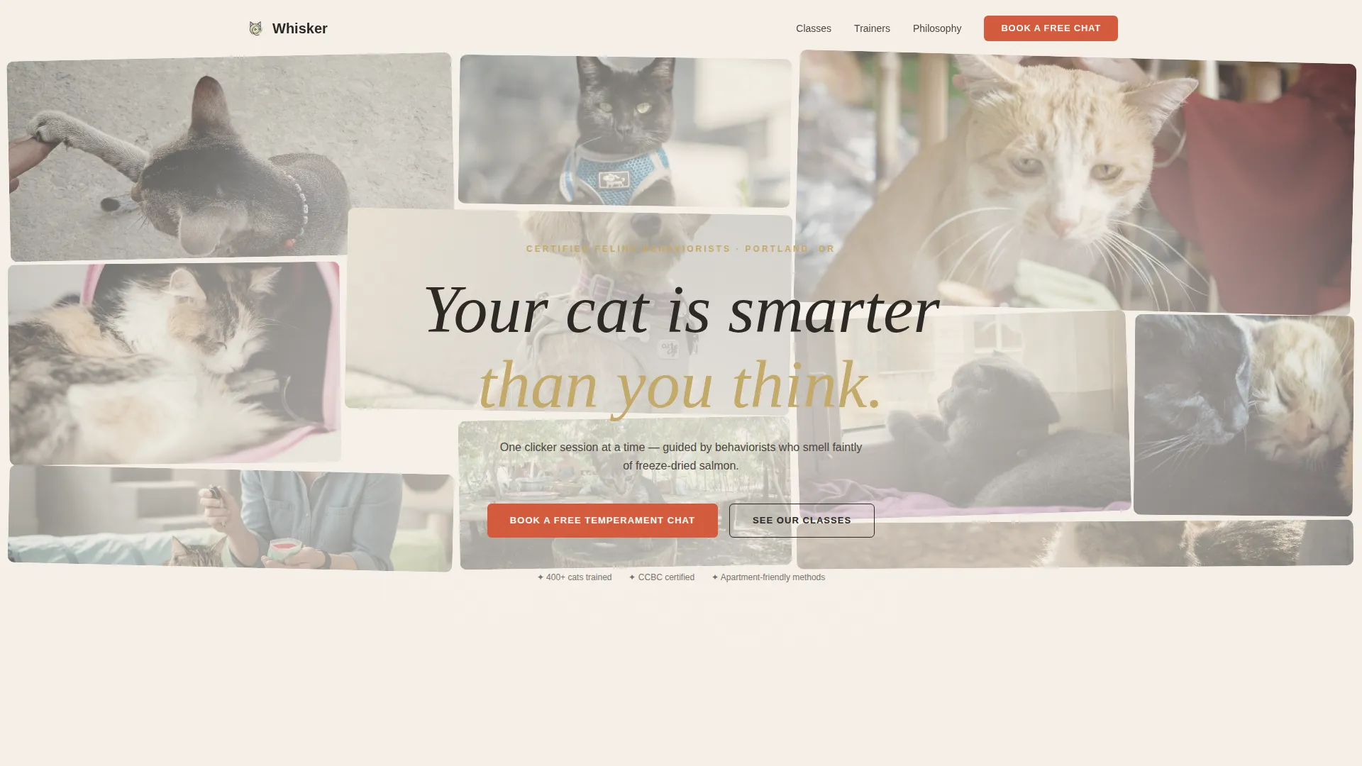 Cat Training Landing Page Template | Warm Artisan Style