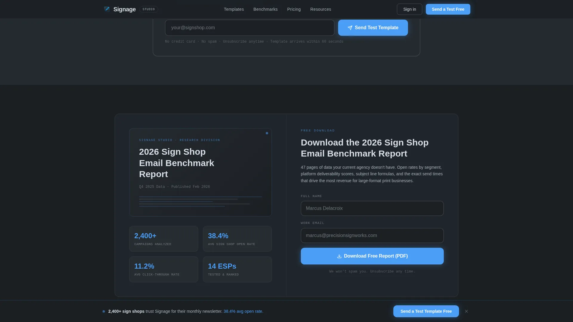 Precision Newsletter Landing Page Template