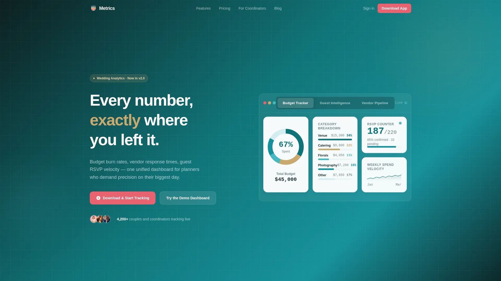 Wedding Software & SaaS Professional Website Template