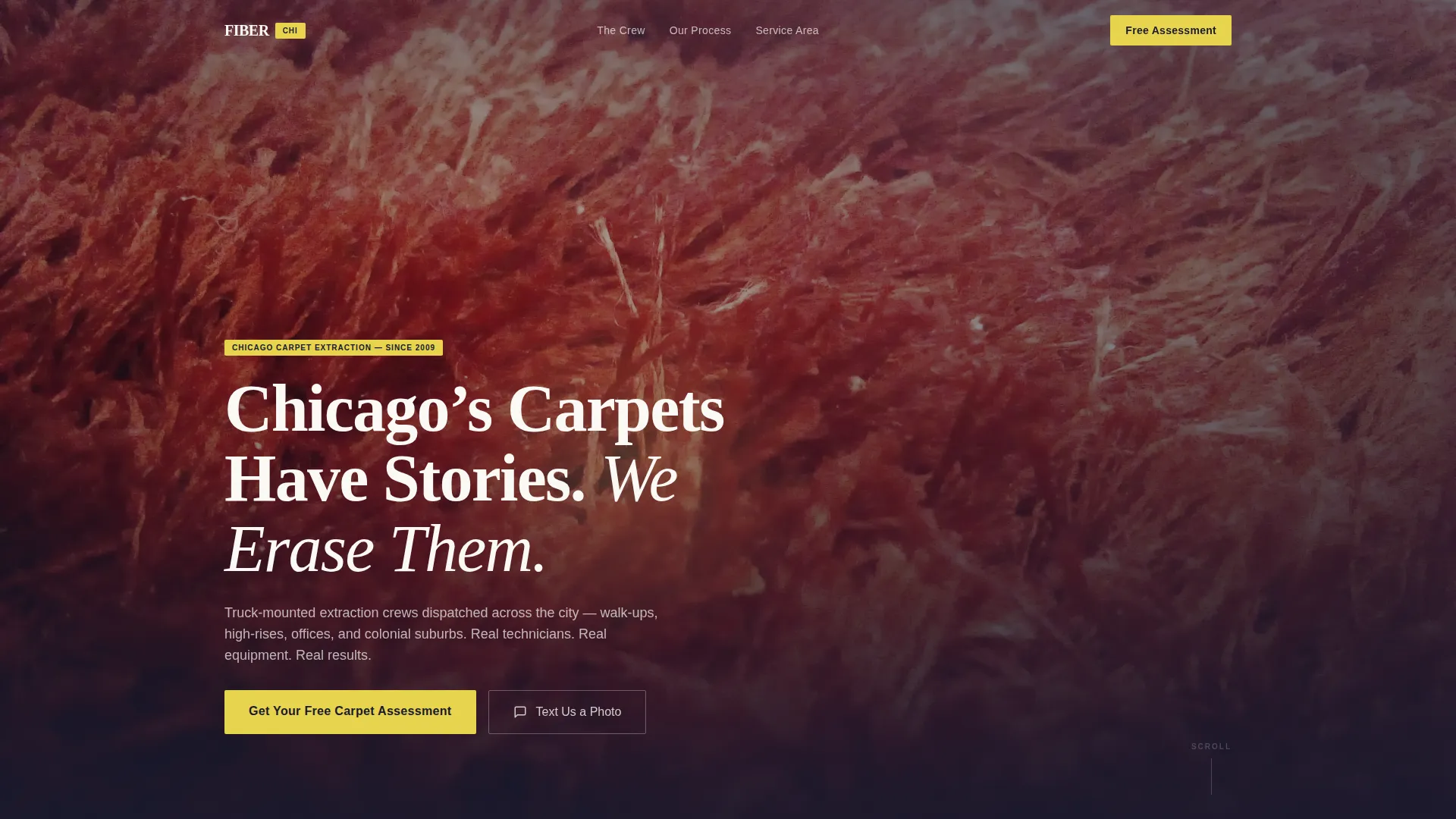 Professional Carpetcleaning | Free Website Template | Rocket