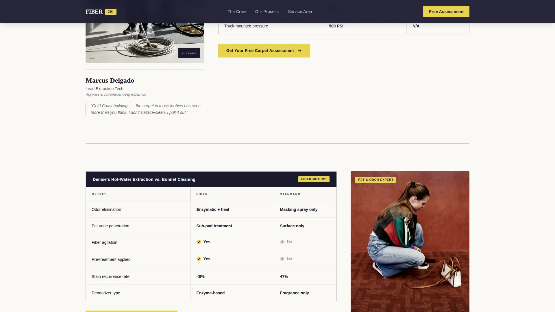 Professional Carpetcleaning | Free Website Template | Rocket