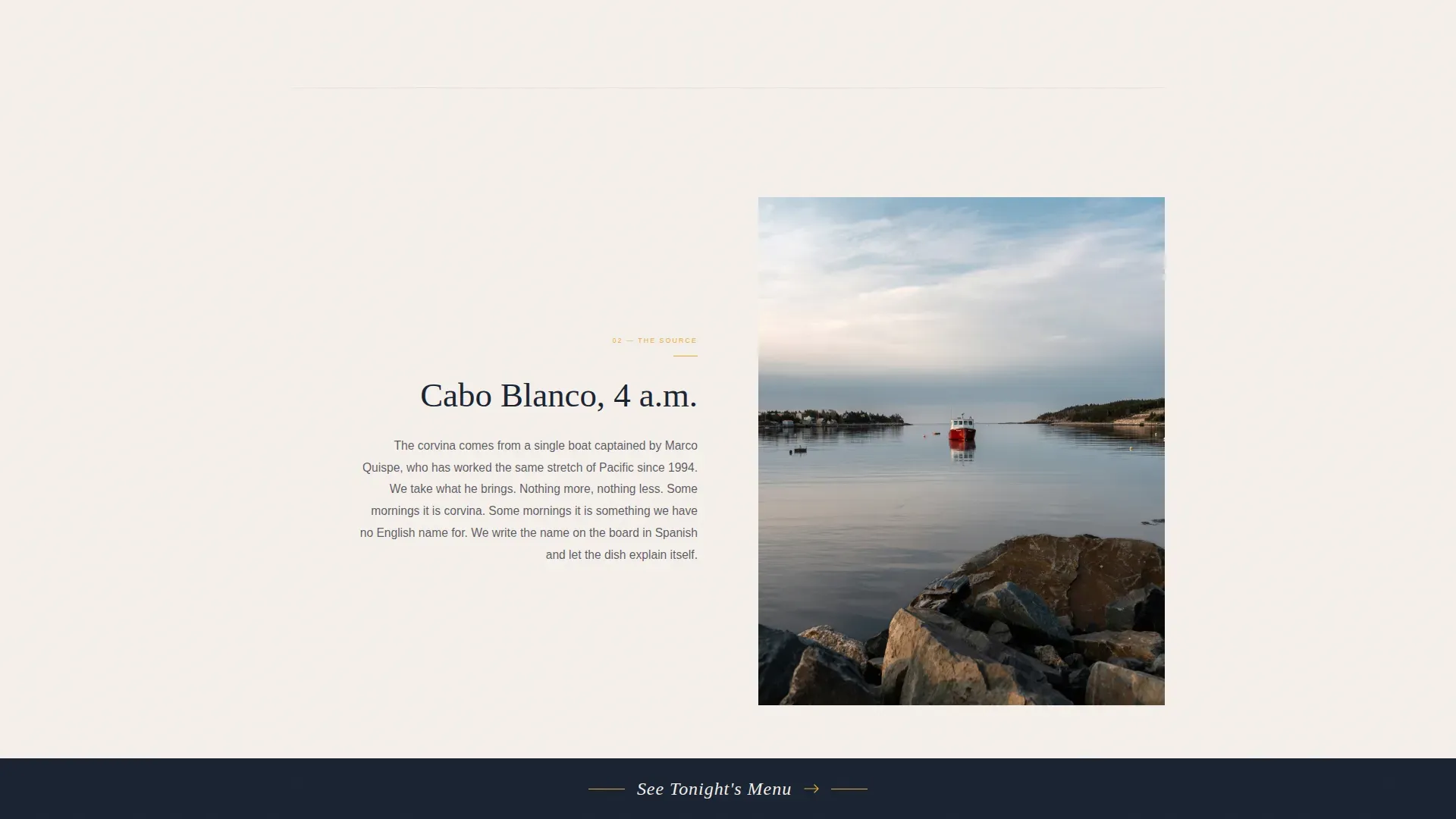Elevated Peruvian Ceviche | Free Website Template | Rocket