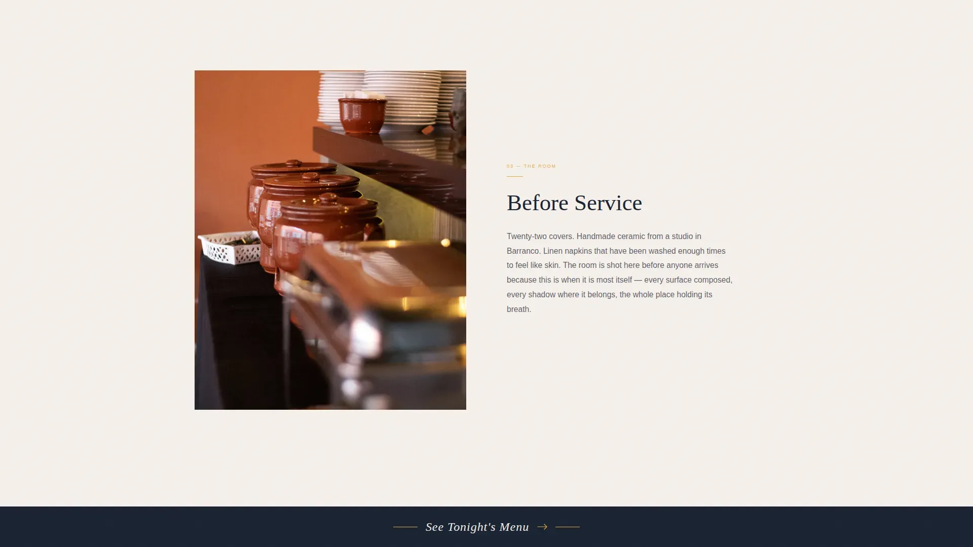 Elevated Peruvian Ceviche | Free Website Template | Rocket