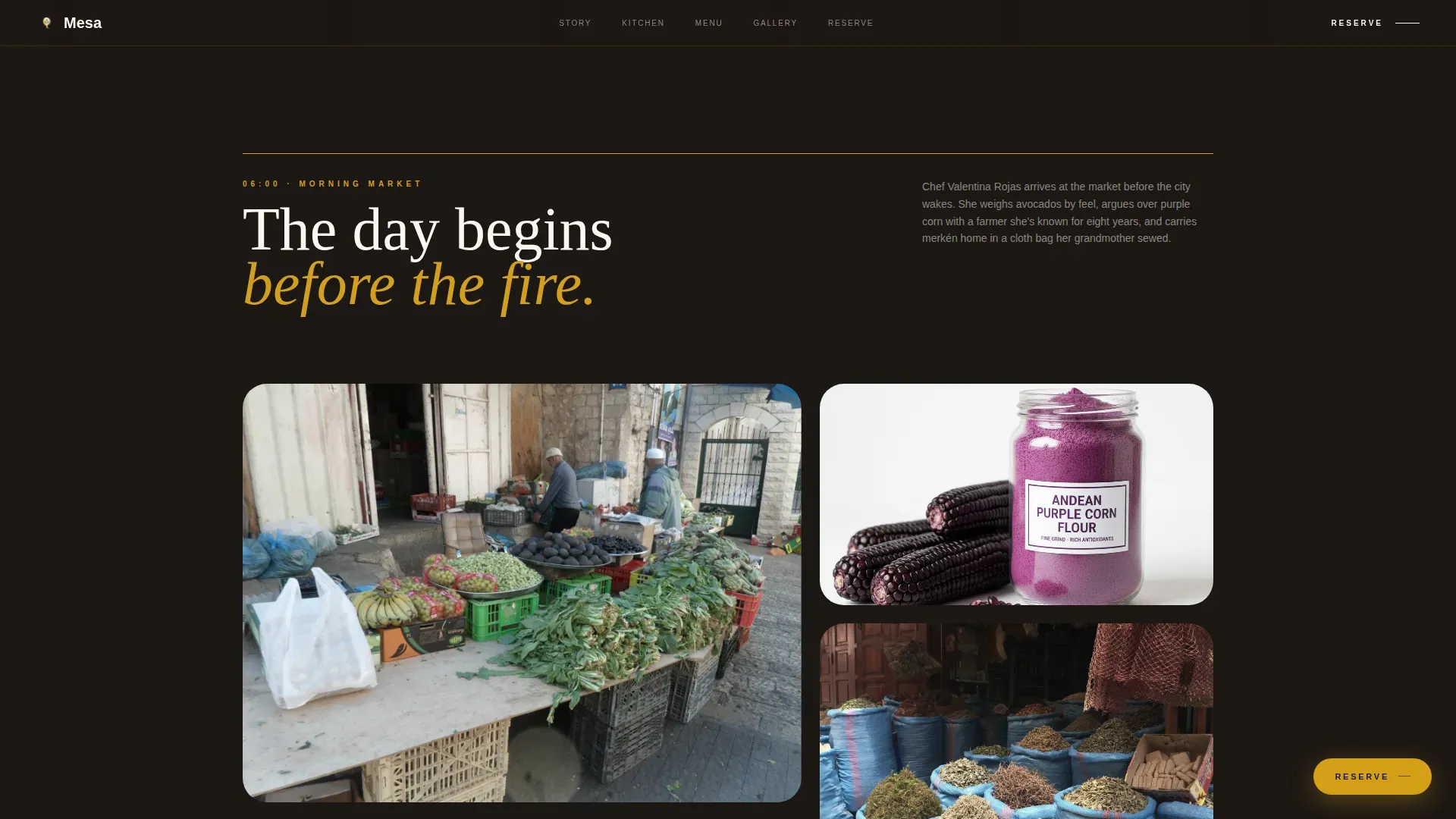 Chilean Cuisine Booking Website Template