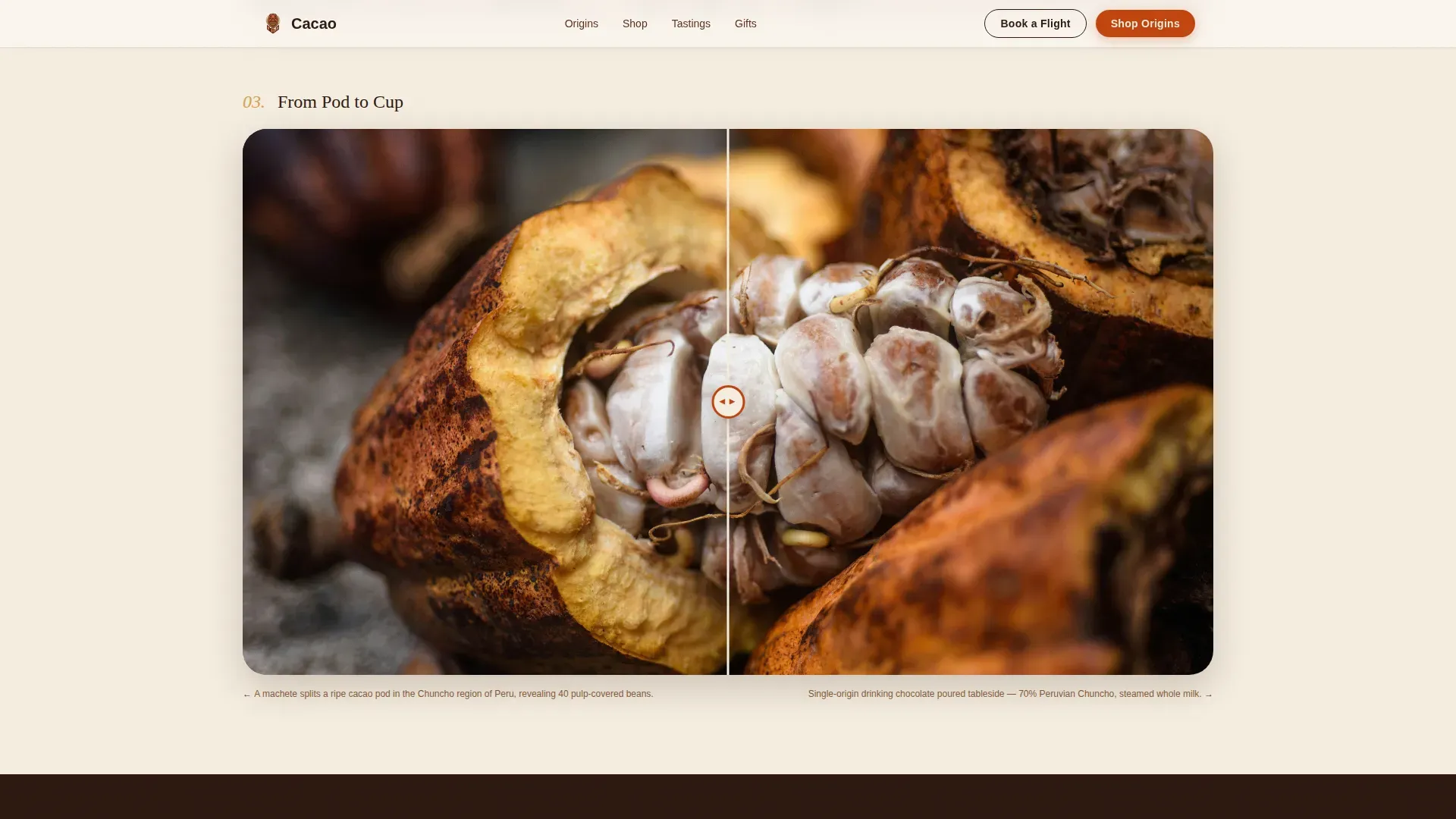 Chocolate & Confectionery Professional Website Template