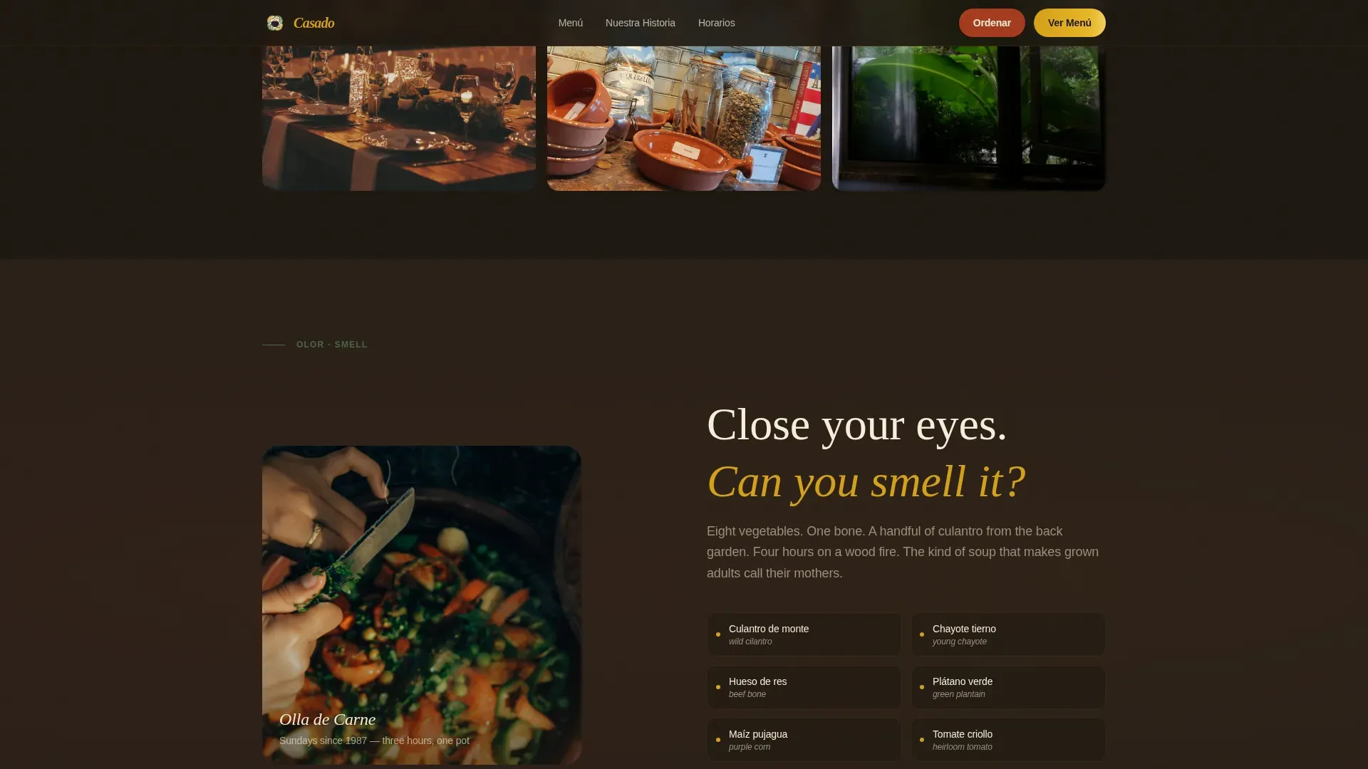 Costa Rican Restaurant | Free Website Template | Rocket