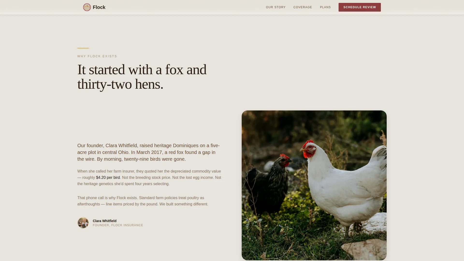 Chicken & Poultry Booking Website Template