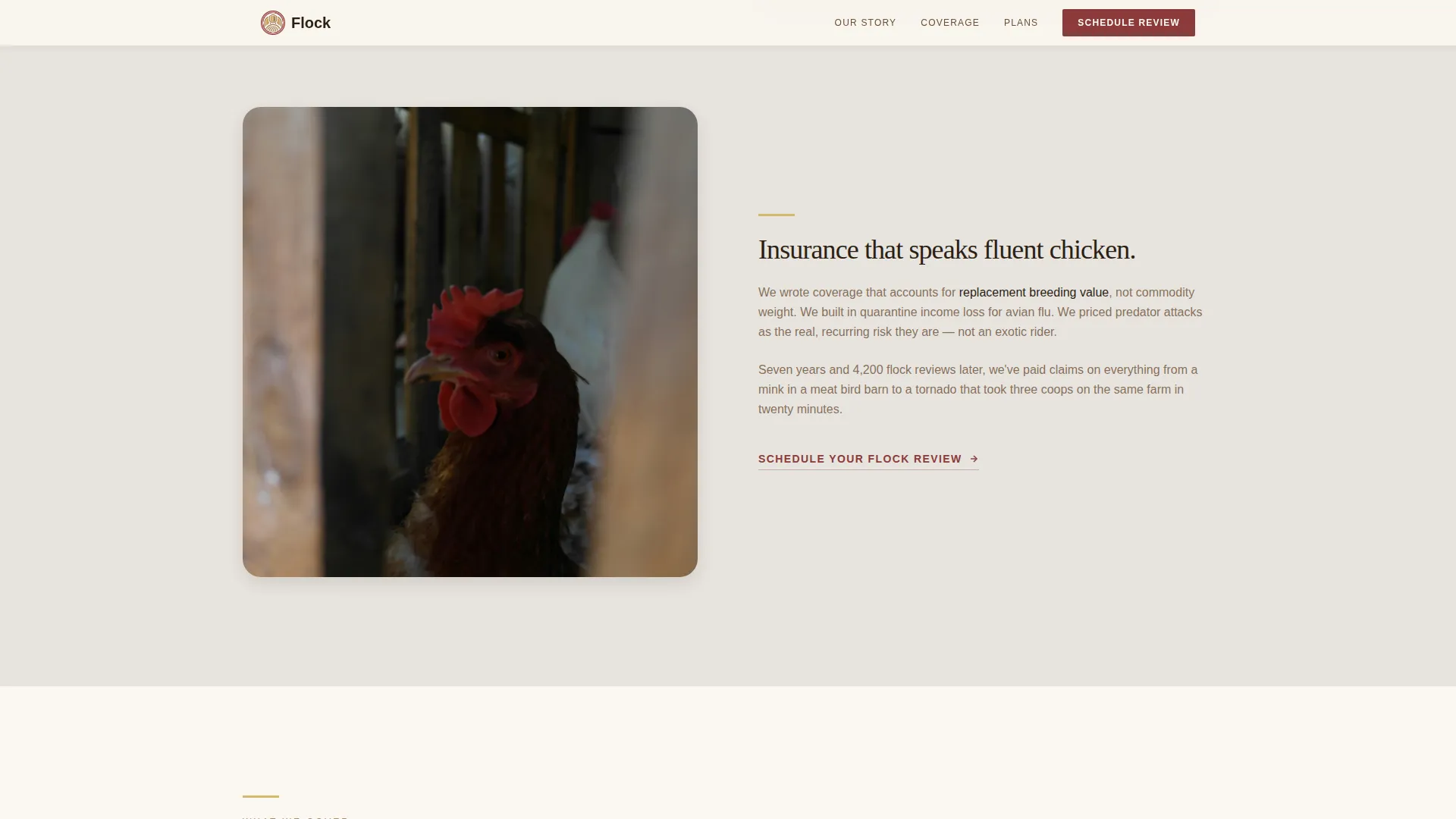 Chicken & Poultry Booking Website Template