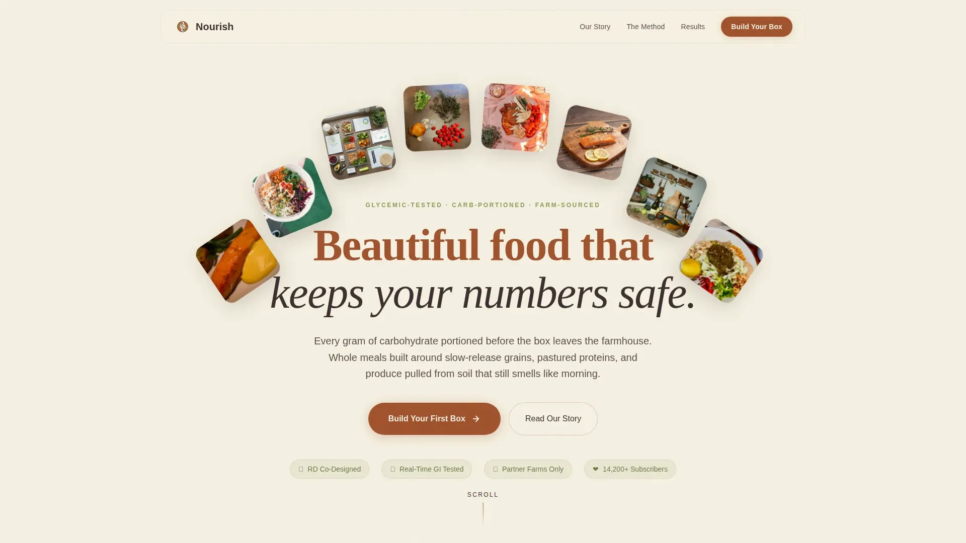 Diabetic Meal Kit | Free Website Template | Rocket